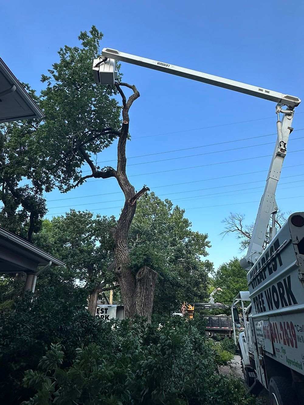 A crane is cutting a tree in front of a house.