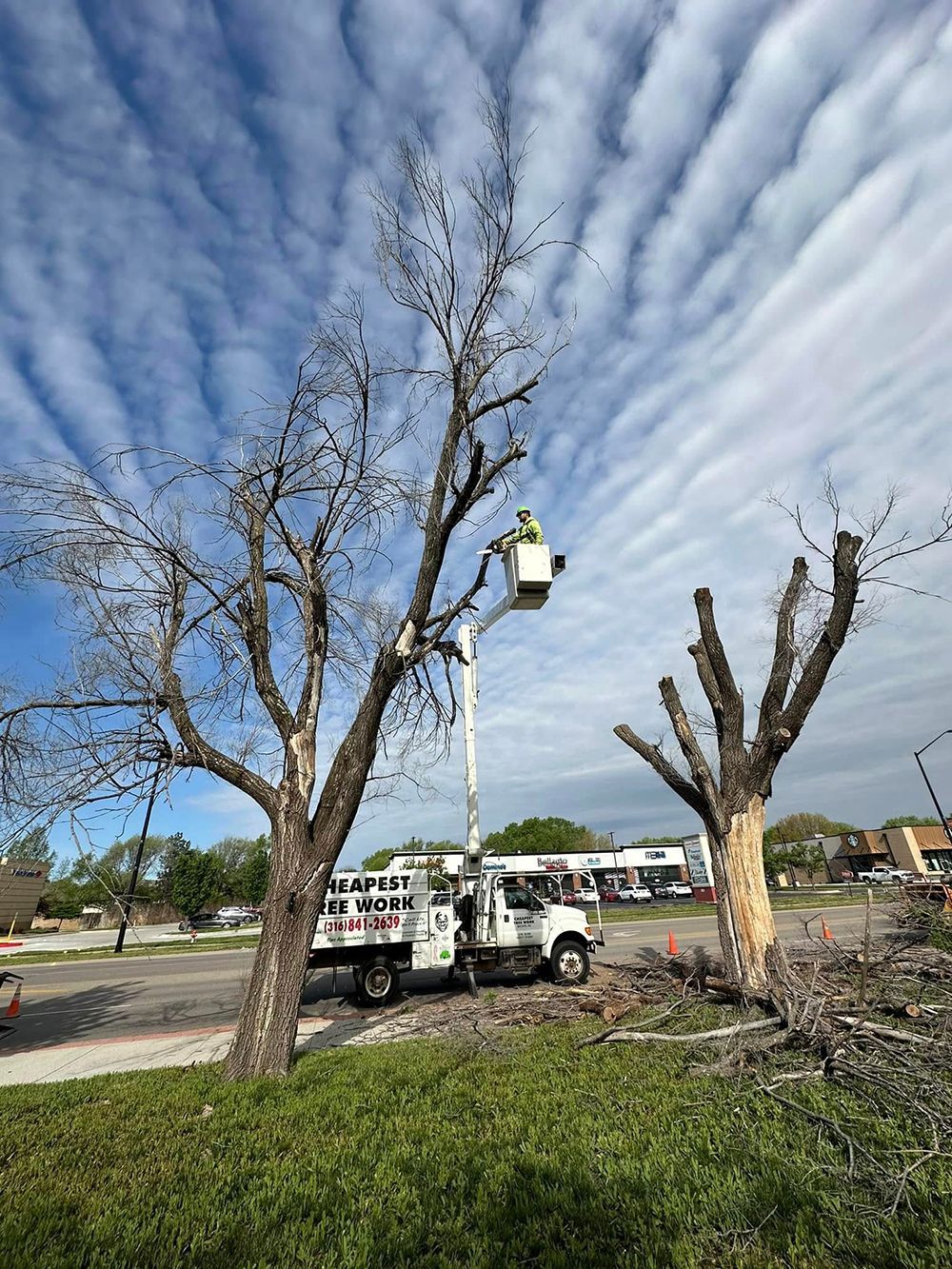 A white truck is cutting a tree in a parking lot.