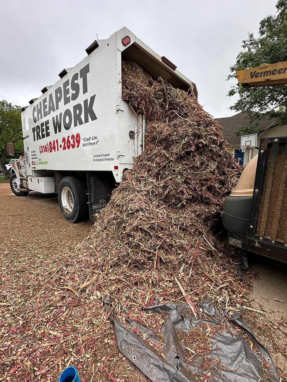 A dump truck is carrying a large pile of wood chips.