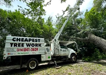 White tree service truck with