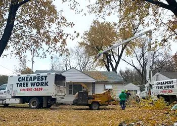 Tree service trucks and crew working near a house with fall foliage.