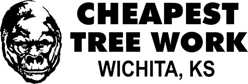 The logo for cheapest tree work  