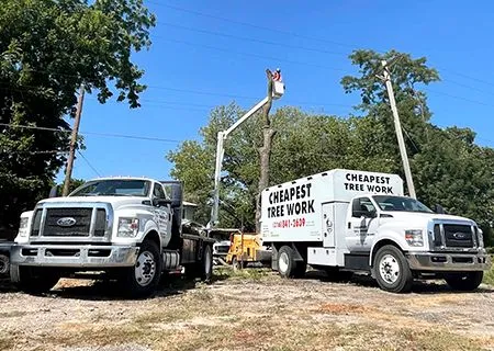 Two white service trucks with a raised boom lift and sign reading “Cheapest Tree Work” on a sunny roadside.