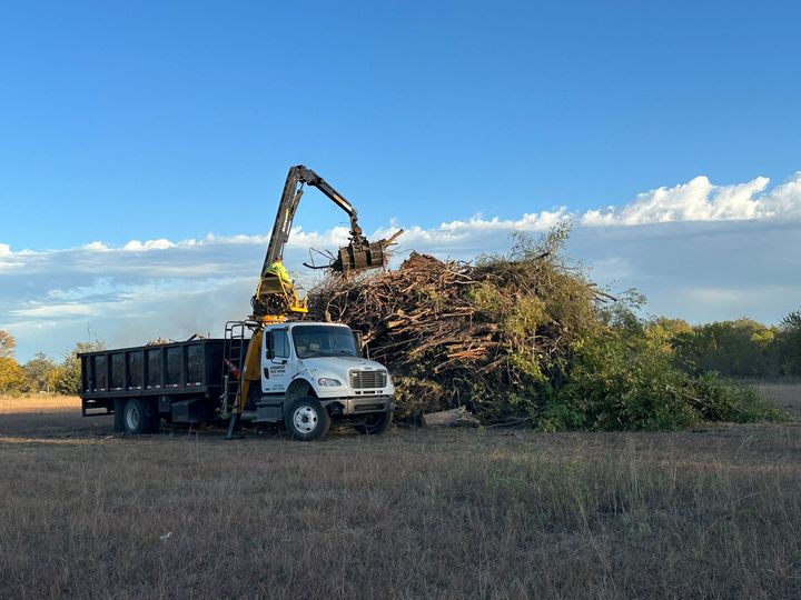 A man in a bucket is cutting a tree.