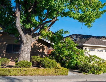 A large tree with a broken branch resting on the front of a house and driveway under a clear blue sky.