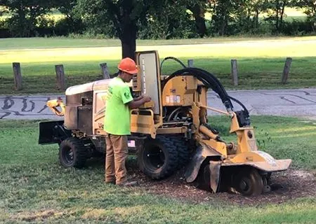 Man in safety gear operating stump grinder on grass near a paved road.