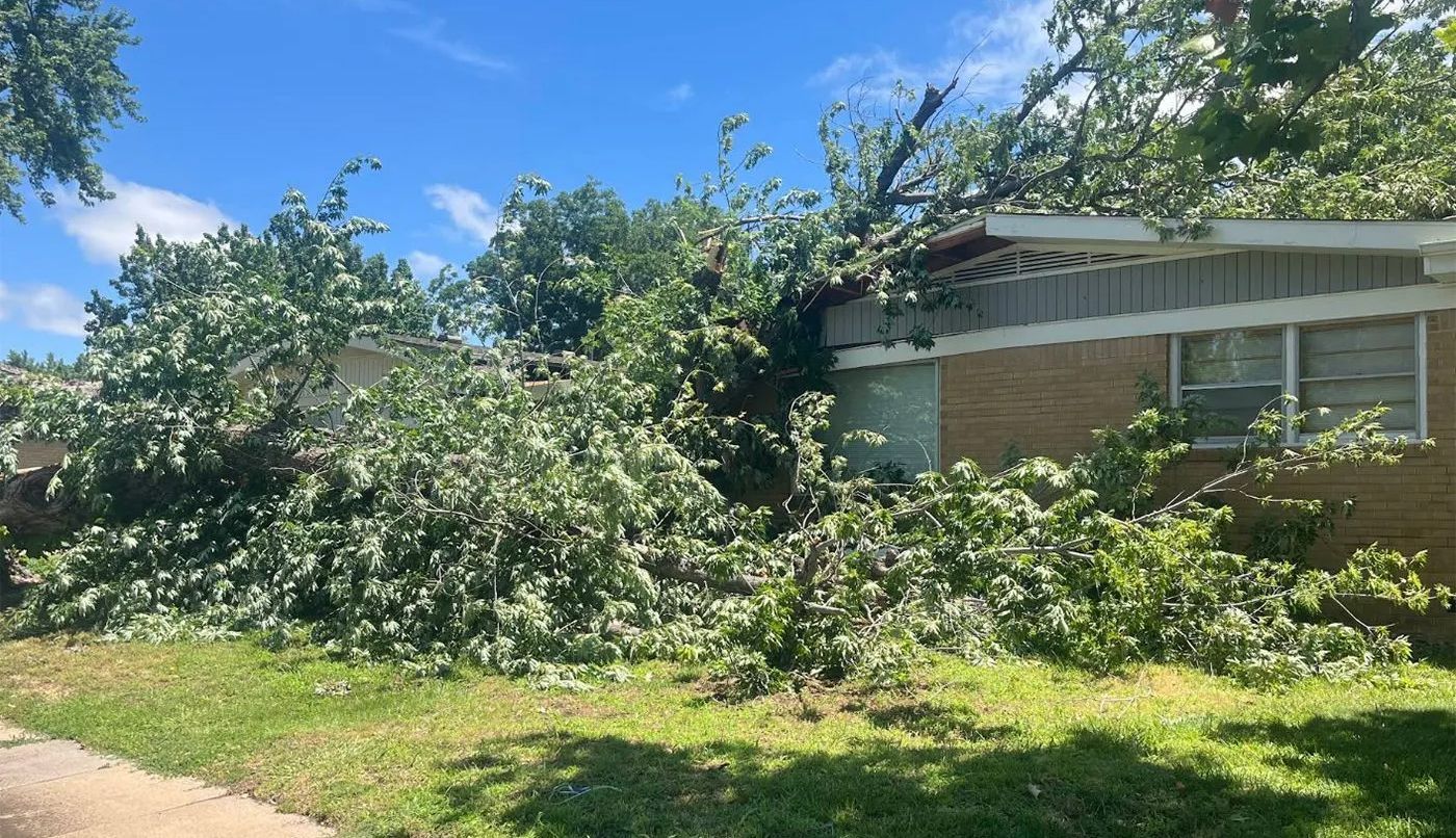 Tree damage on a house. Green foliage covers the roof and yard of a brick home on a sunny day.