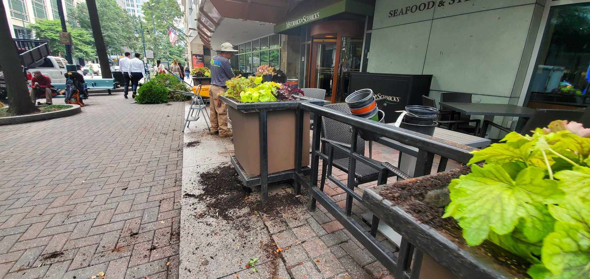 A commercial landscape design project in Charlotte, NC - Haven Landscape Design hard at work