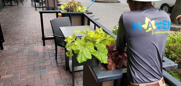 A man in a hat is standing next to a planter on a sidewalk.