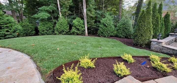 A lush green lawn with trees in the background and a stone walkway.