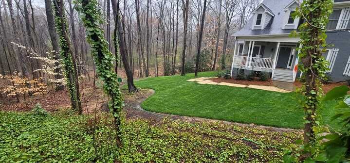 A house in the middle of a forest with a lush green lawn.