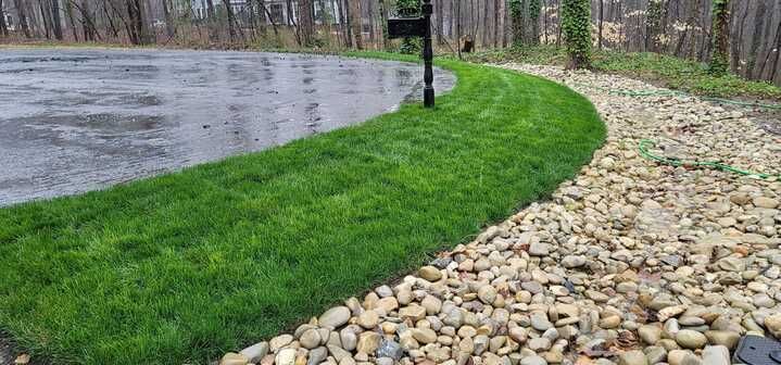 There is a mailbox on the side of the road next to a lush green lawn.