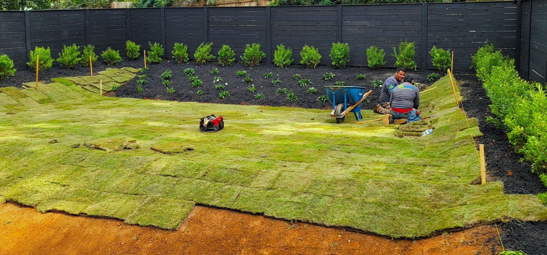 A home in Charlotte, NC getting sod installation - Haven Landscape Design hard at work.