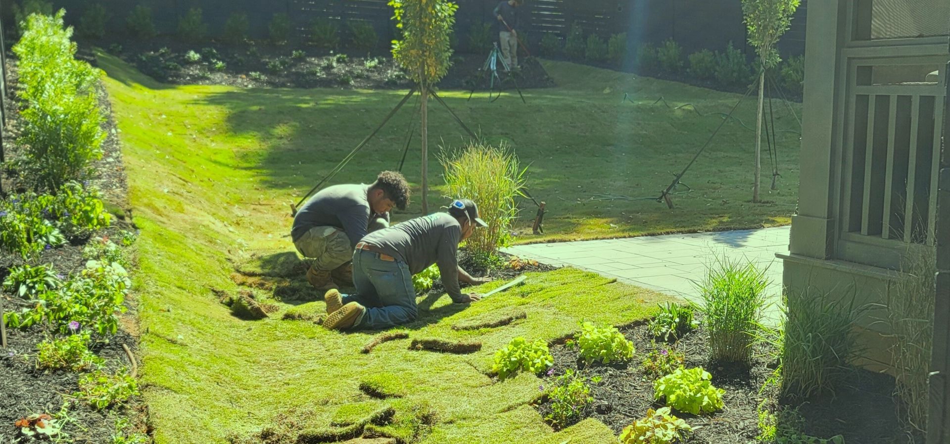A home in Charlotte, NC getting sod installation - Haven Landscape Design hard at work.