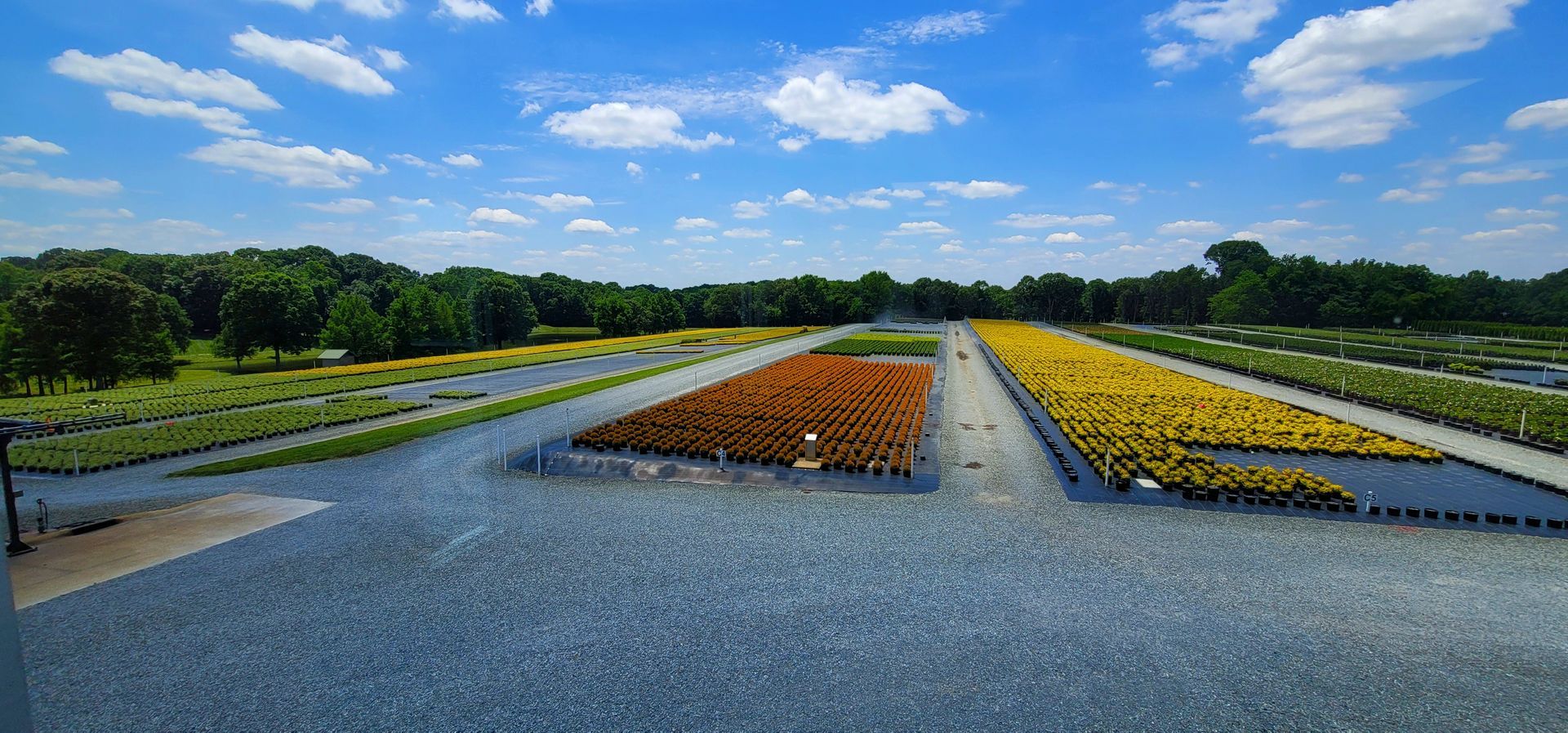 A landscape design project on Stone Bunker Dr in Charlotte, NC by Haven Landscape Design