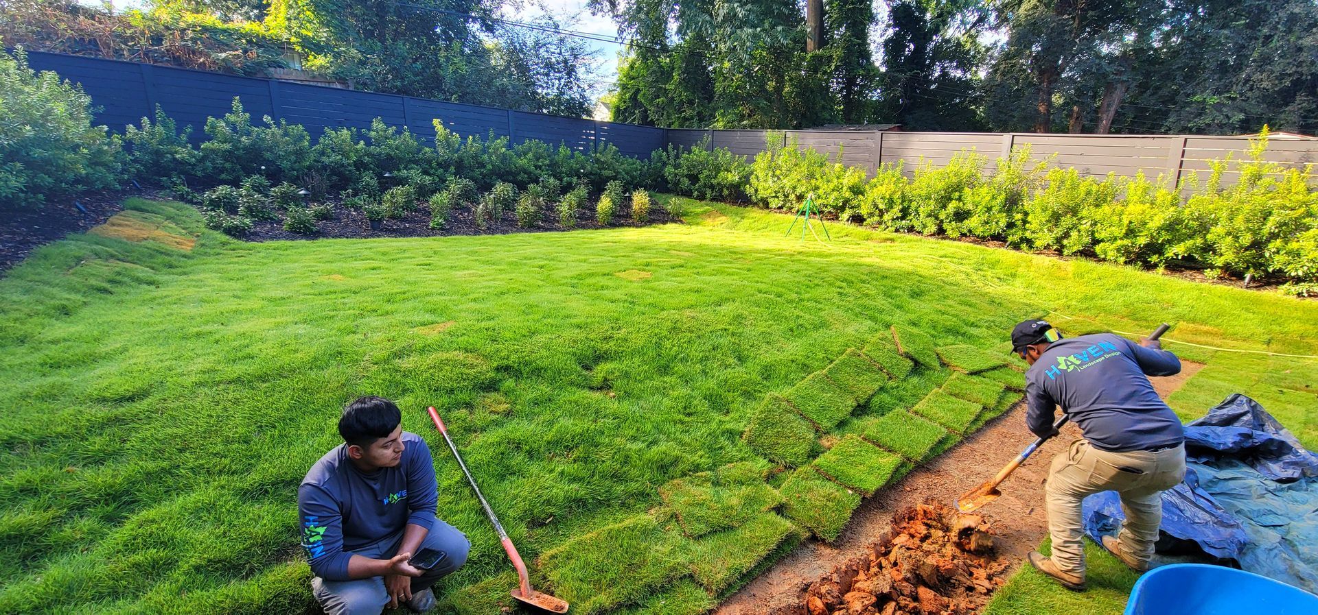 Two men are working in a lush green yard.