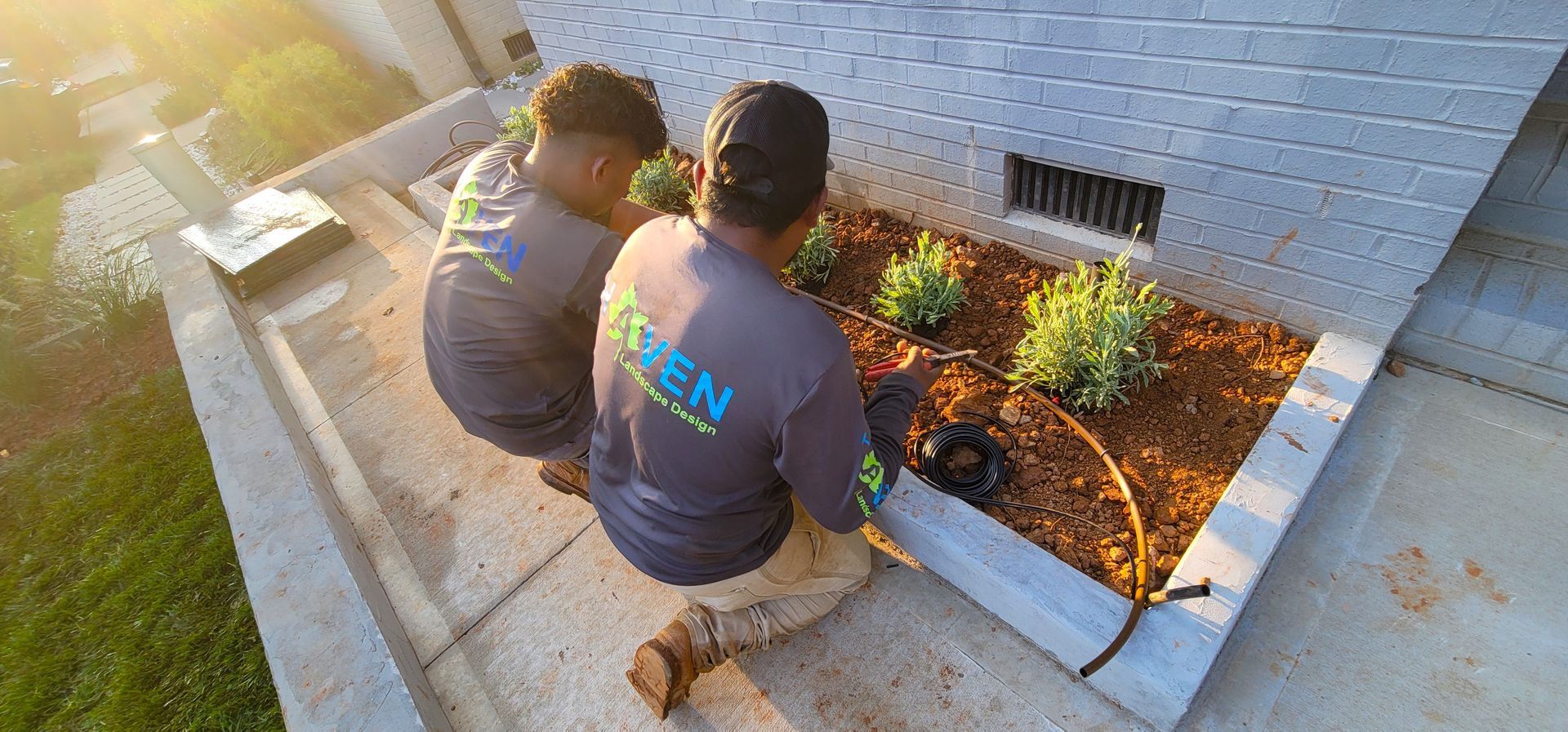 A residential landscape design project on Levy Way in Charlotte, NC - Haven Landscape Design hard at work