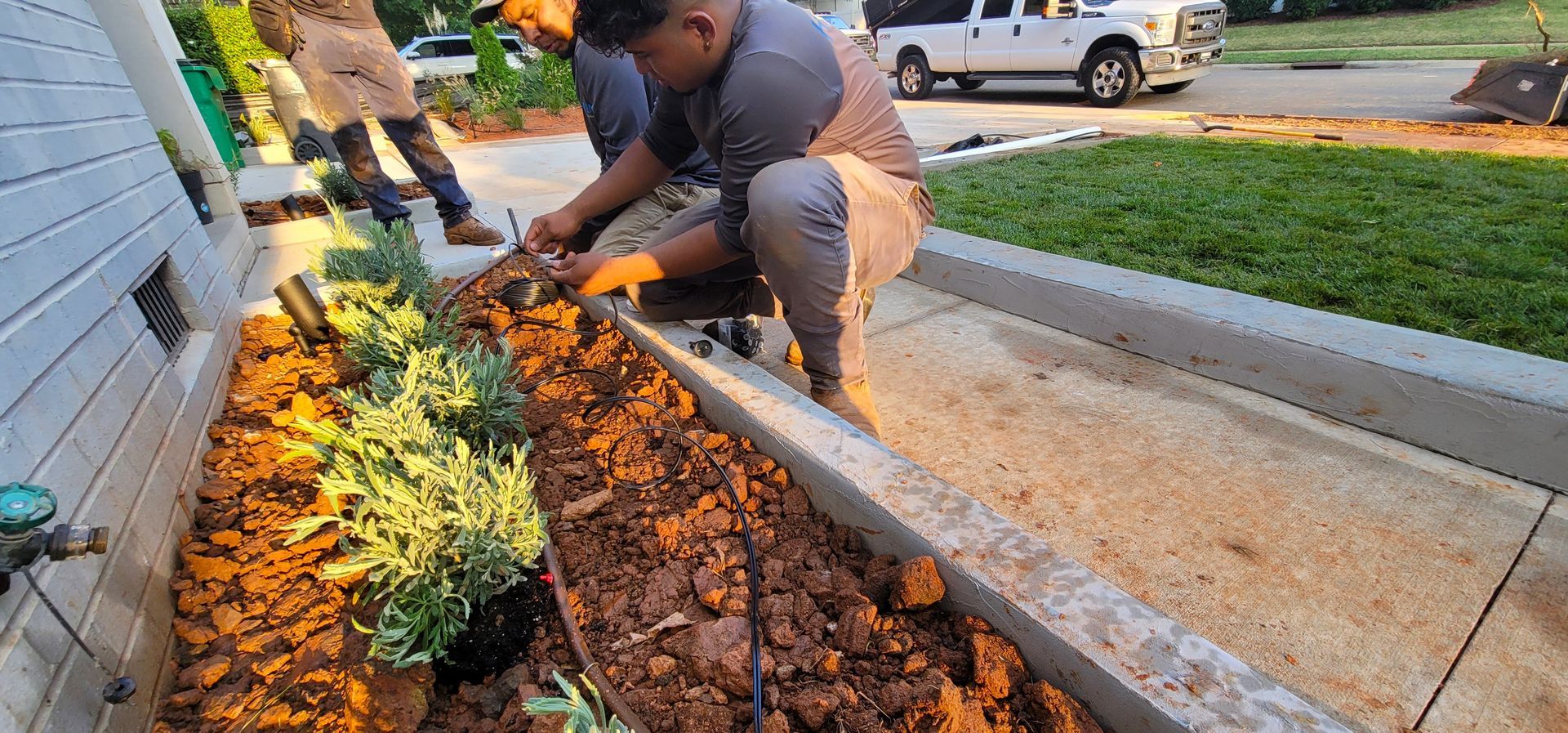 A residential landscape design project on Levy Way in Charlotte, NC - Haven Landscape Design hard at work