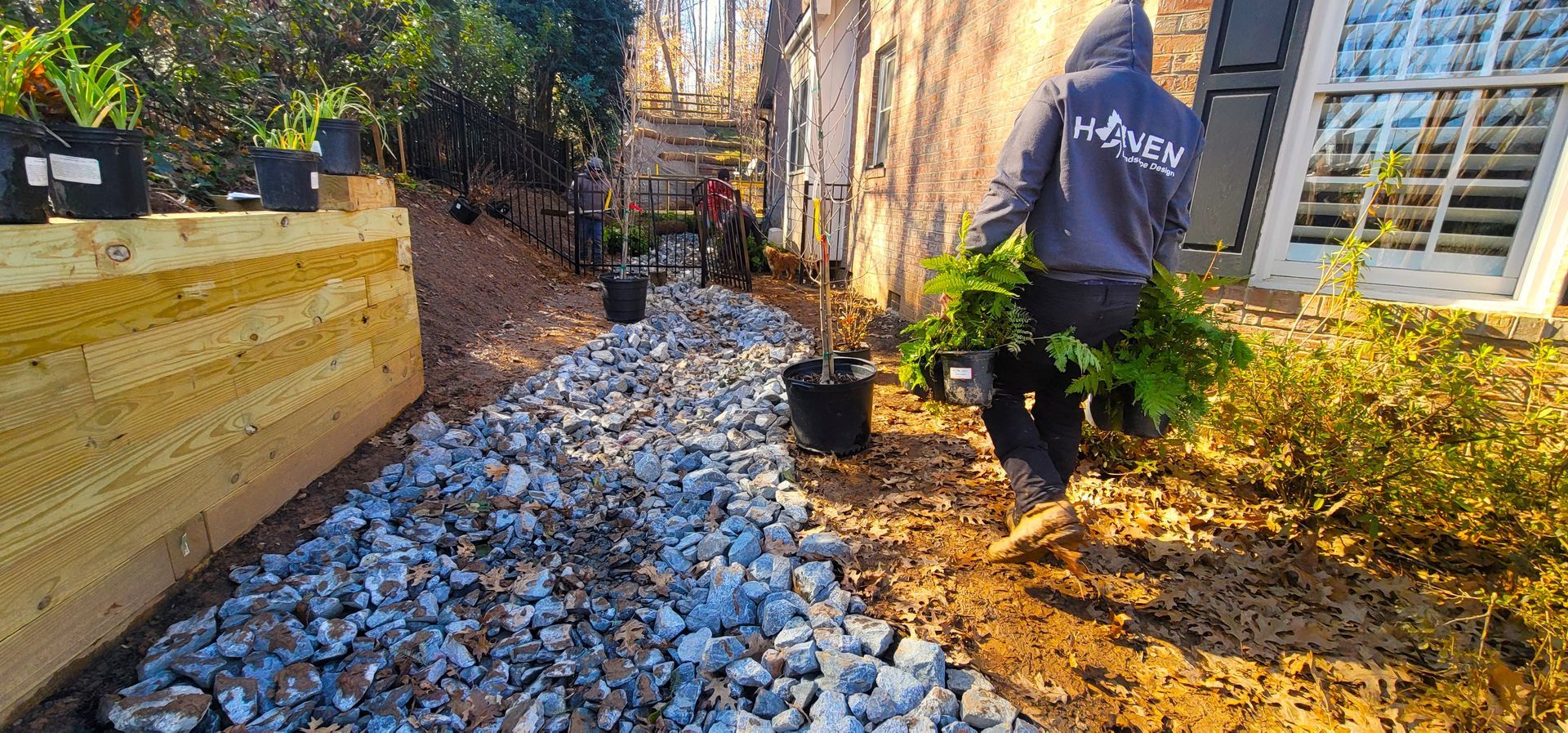 A landscape design in Charlotte, NC - Haven Landscape Design hard at work