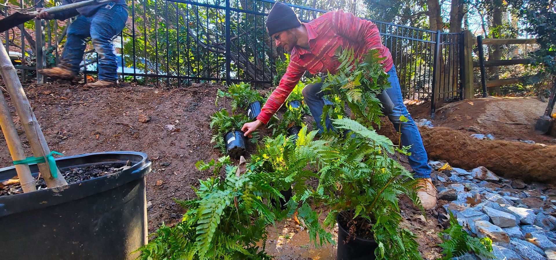 A landscape design in Charlotte, NC - Haven Landscape Design hard at work