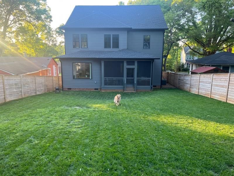 A dog is standing in the grass in front of a house.