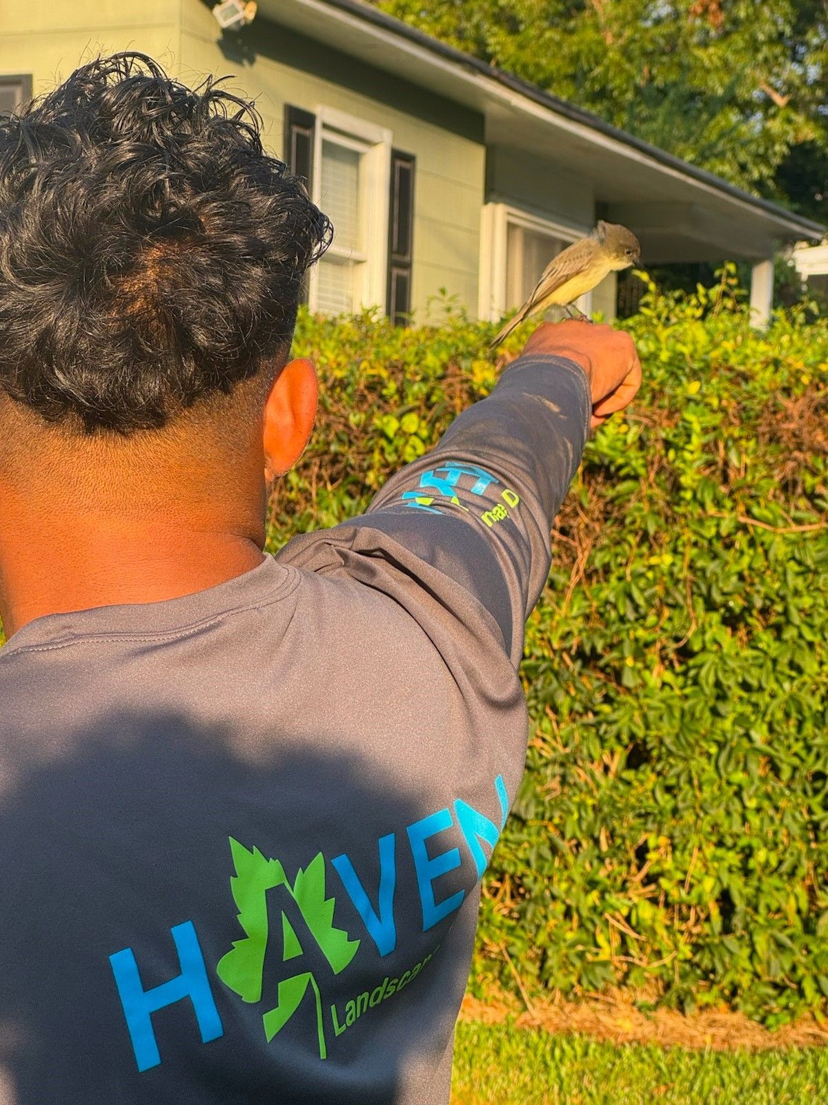 A landscape design service in Charlotte, NC - Haven Landscape Design hard at work