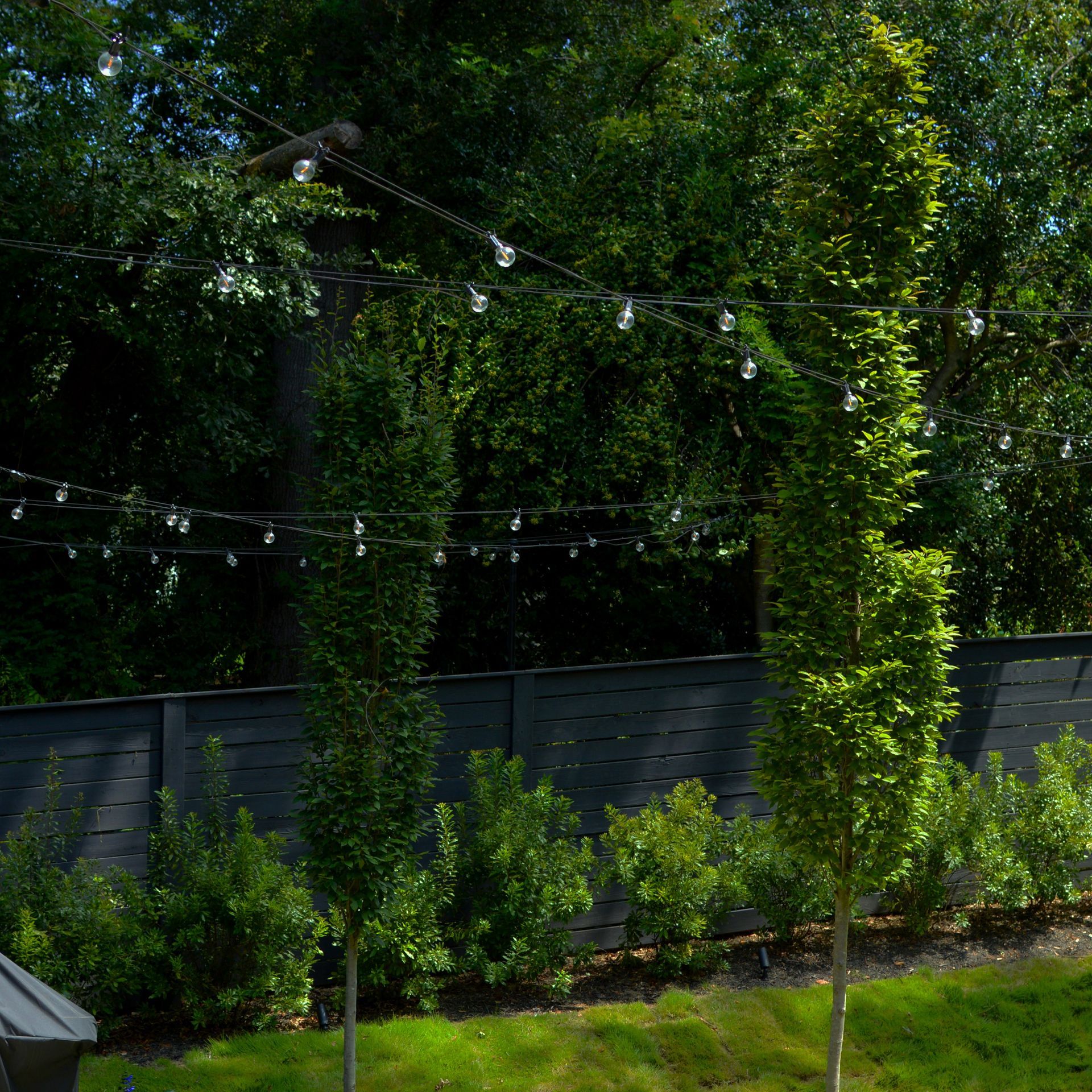 An after picture of a home in Charlotte, NC with outdoor lighting by Haven Landscape Design.