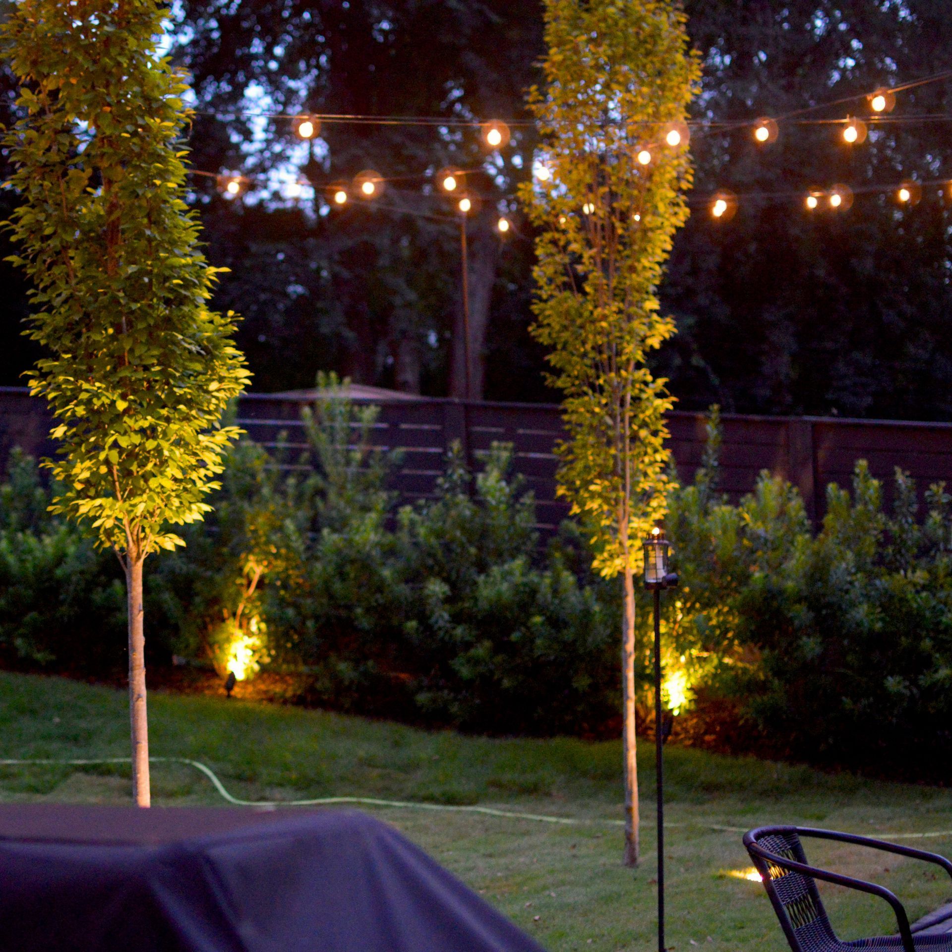 A backyard with a grill and trees lit up at night