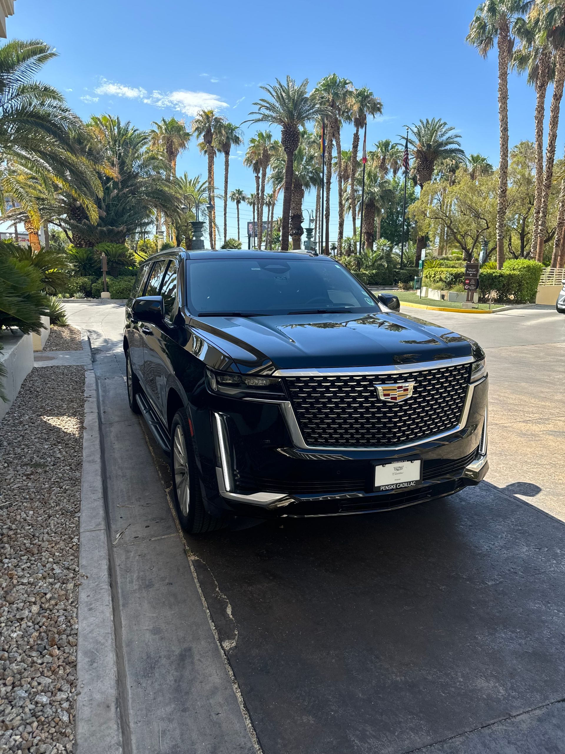 Black Cadillac Escalade parked on a paved area with palm trees in the background, under a blue sky.