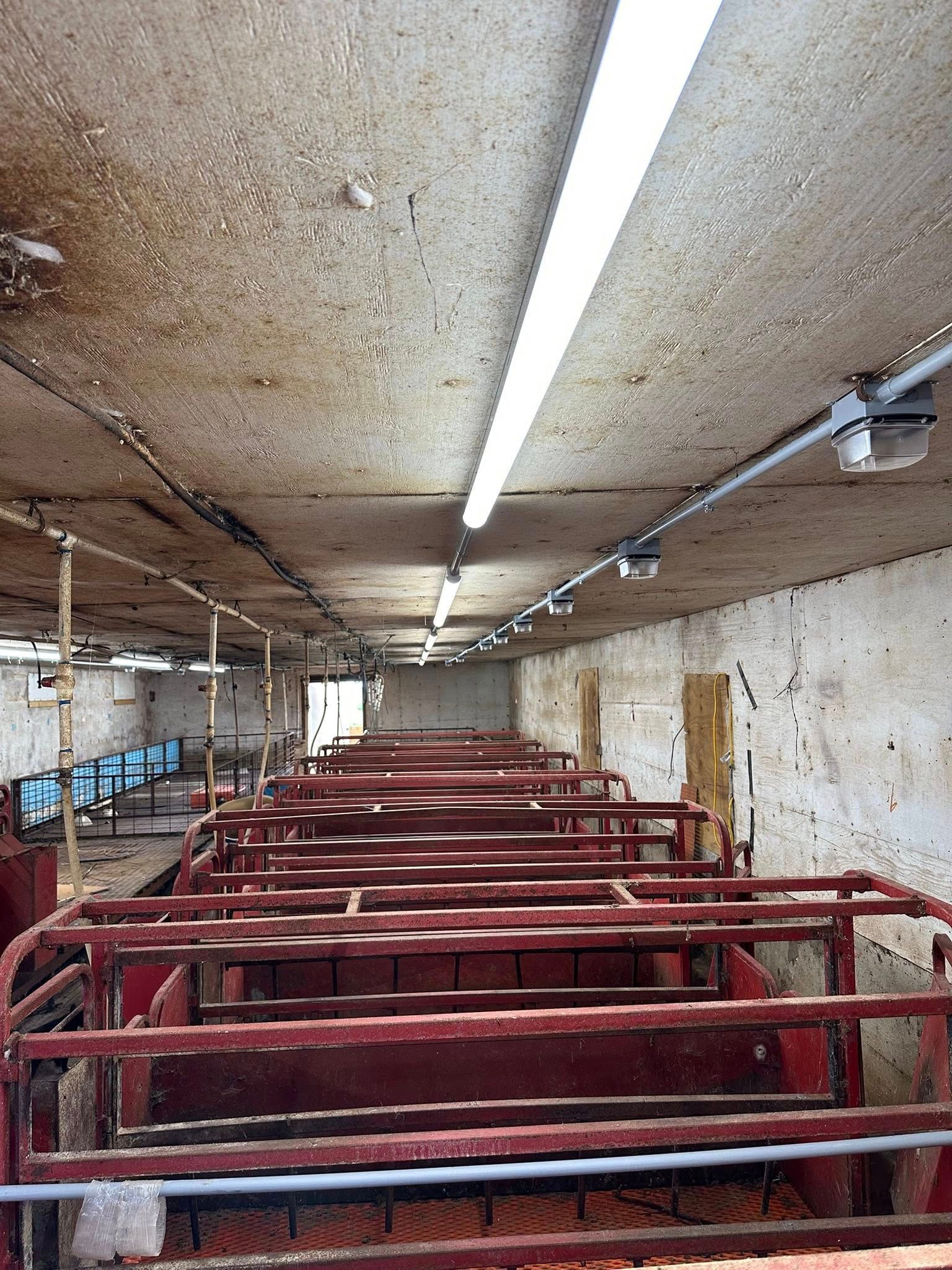 A series of red metal stalls or enclosures arranged in rows inside an indoor facility with overhead lighting.