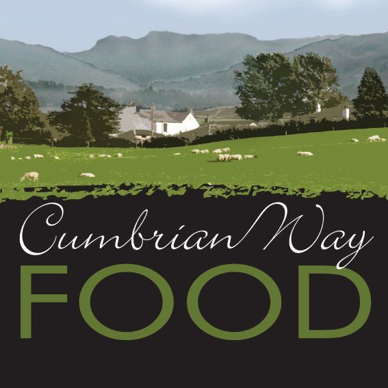 Branding and Packaging from Design Company in Colwyn Bay