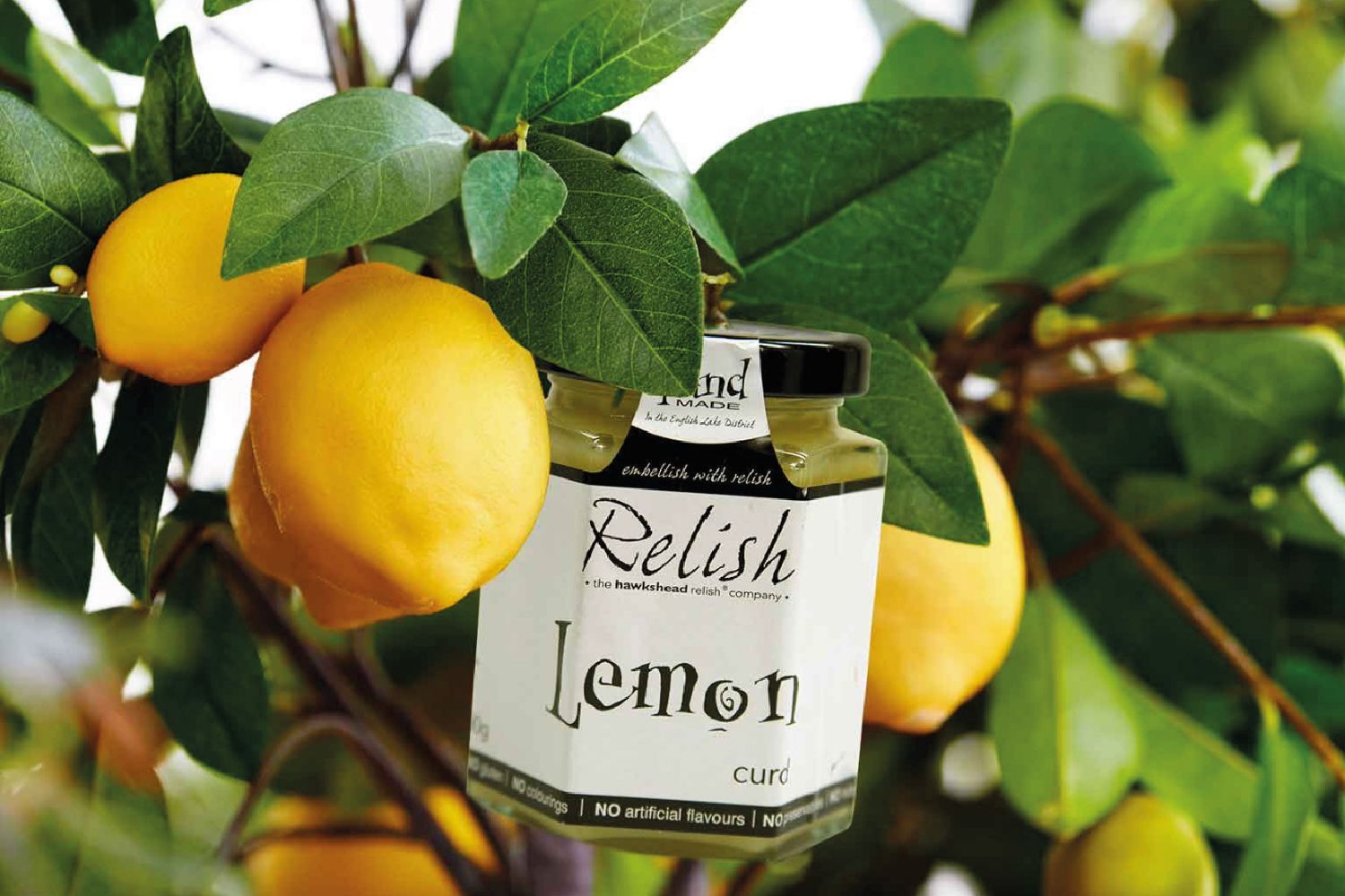 Hawkshead Relish Company