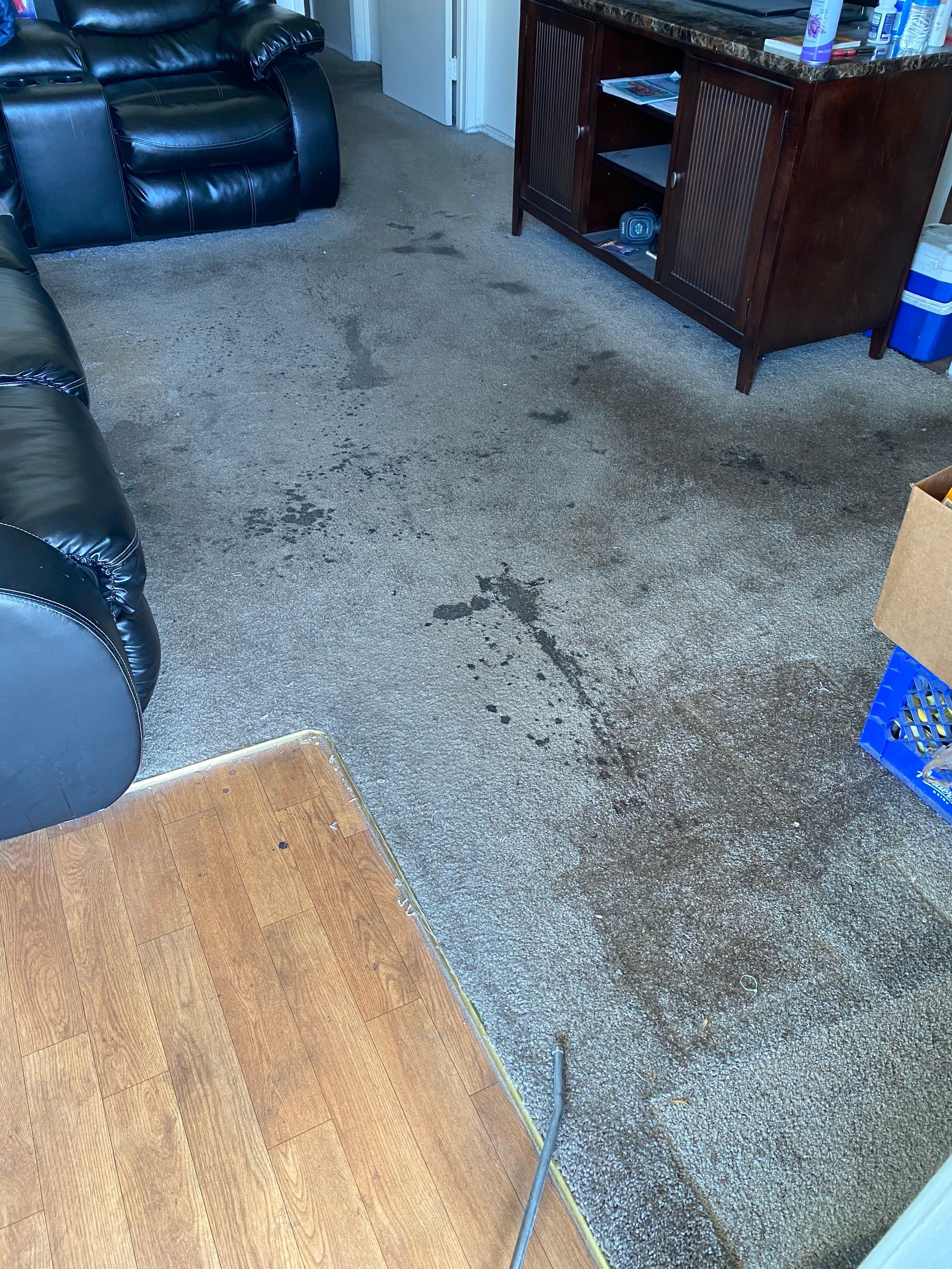 A dirty, stained carpet in a living room with black leather furniture, and a wooden entertainment stand.