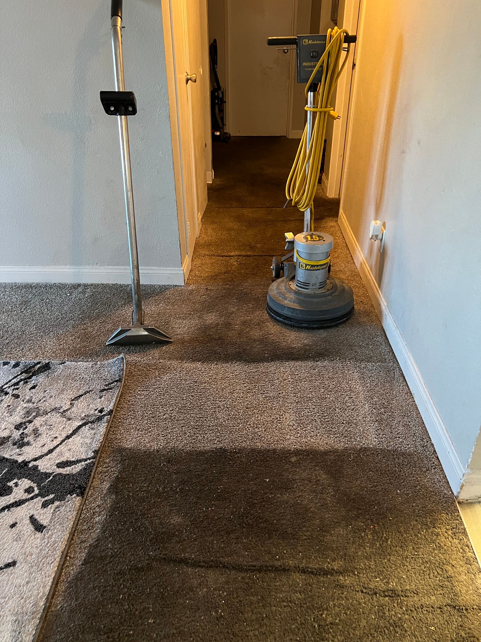 Carpet being cleaned in a hallway. The carpet is brown, and a contrasting colorful rug is on the left.