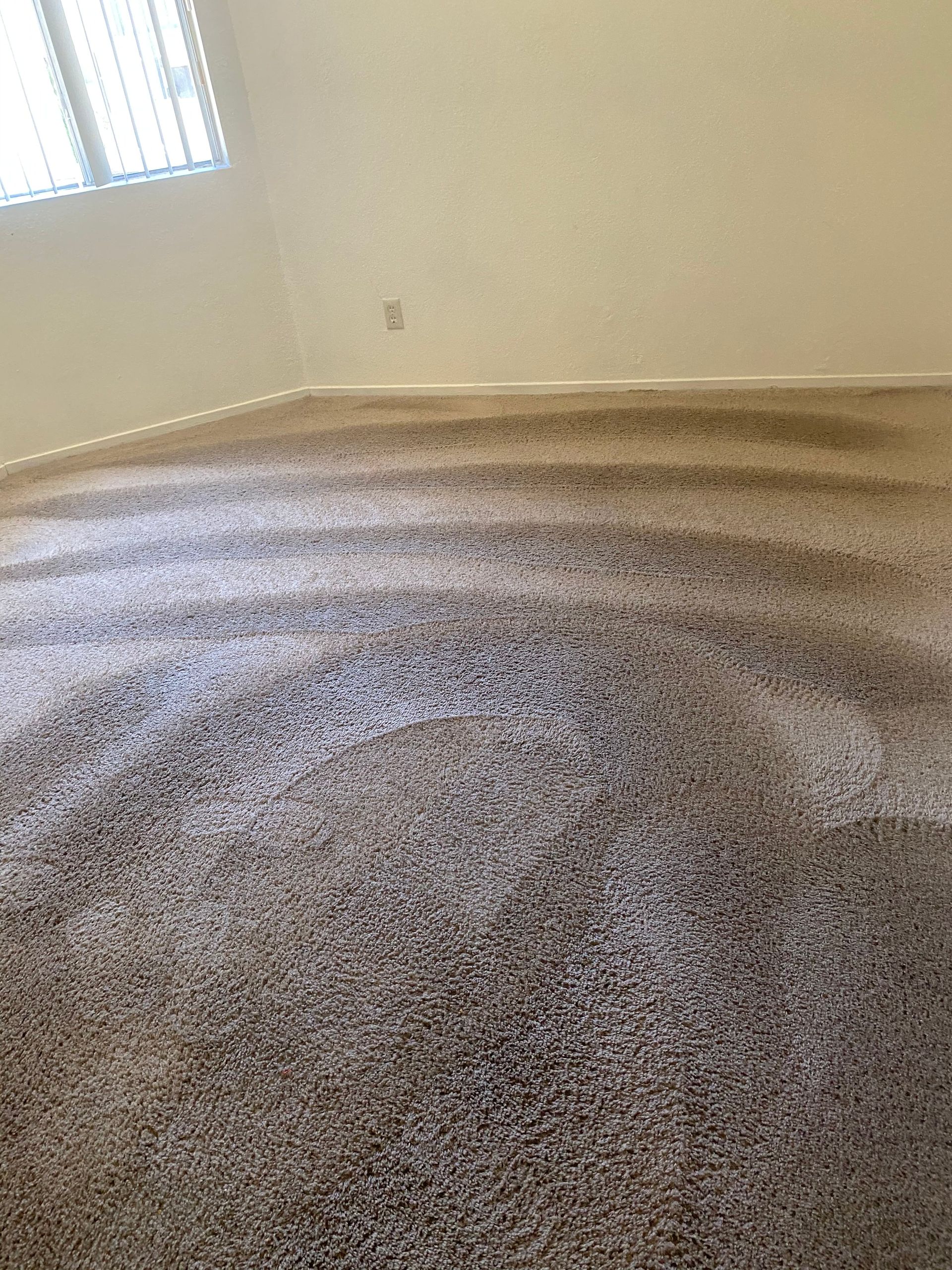 Empty room with brown speckled carpet, a window, and beige walls.