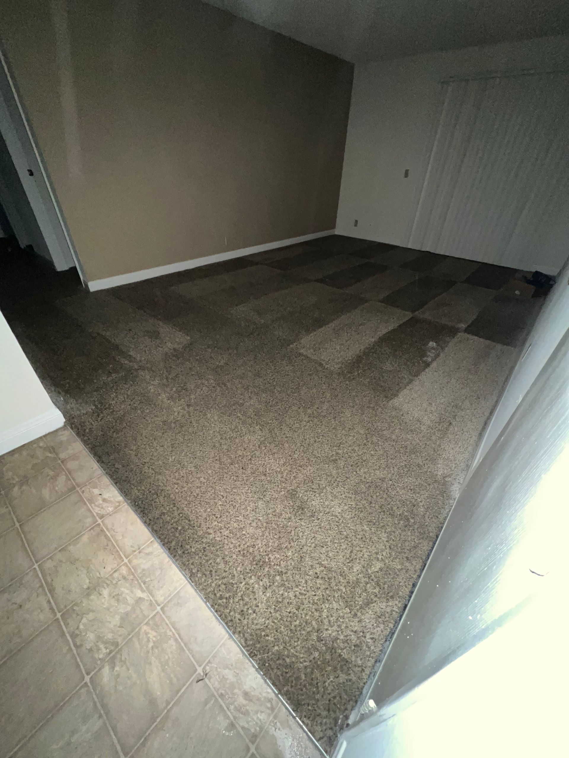 Room with brown carpet, beige walls, and a tiled entryway.