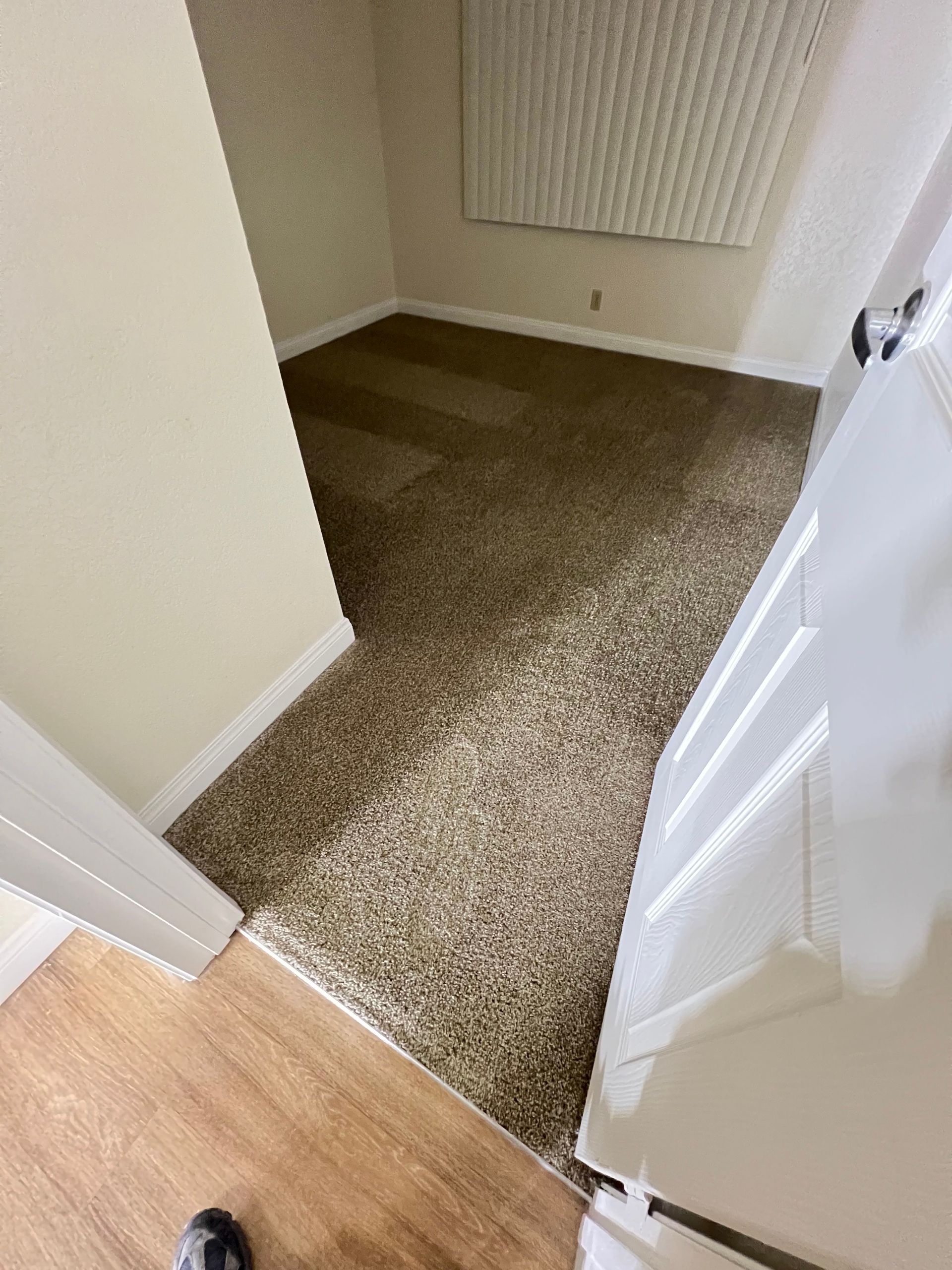 A room with brown carpet, white walls, and a partially open white door.