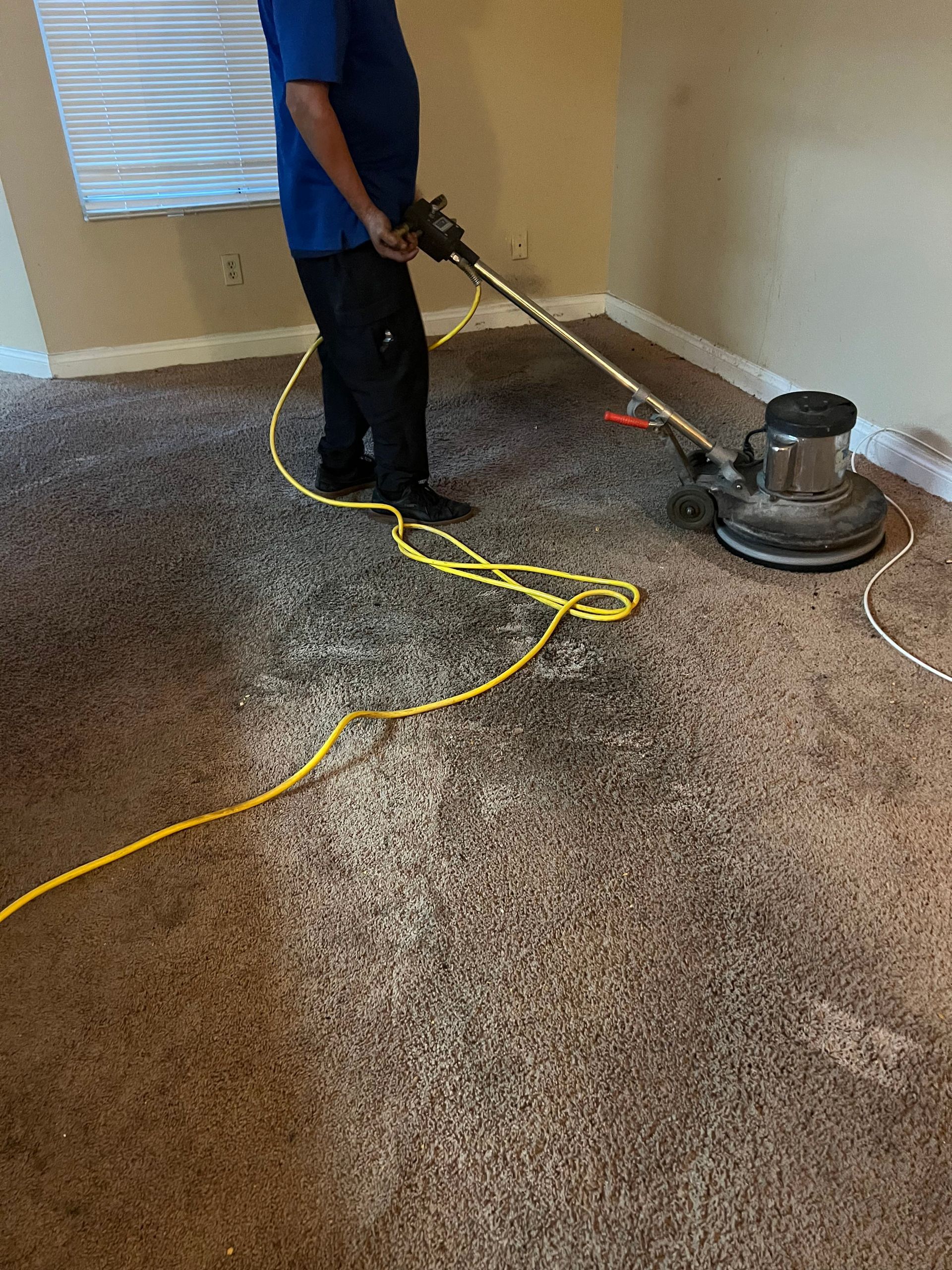 Person cleaning carpet with a floor buffer machine in a room.