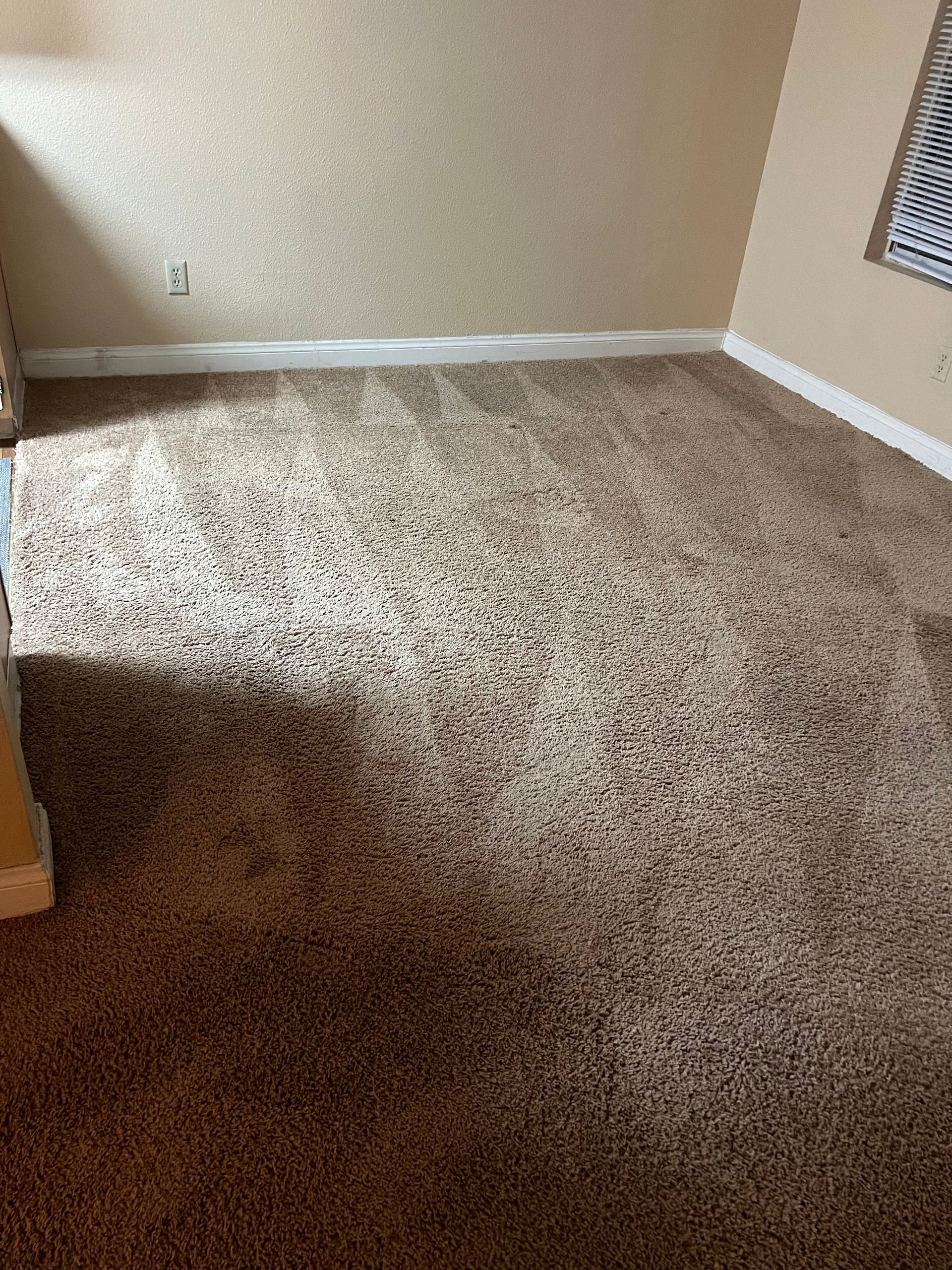 Beige carpeted room with beige walls and white trim.