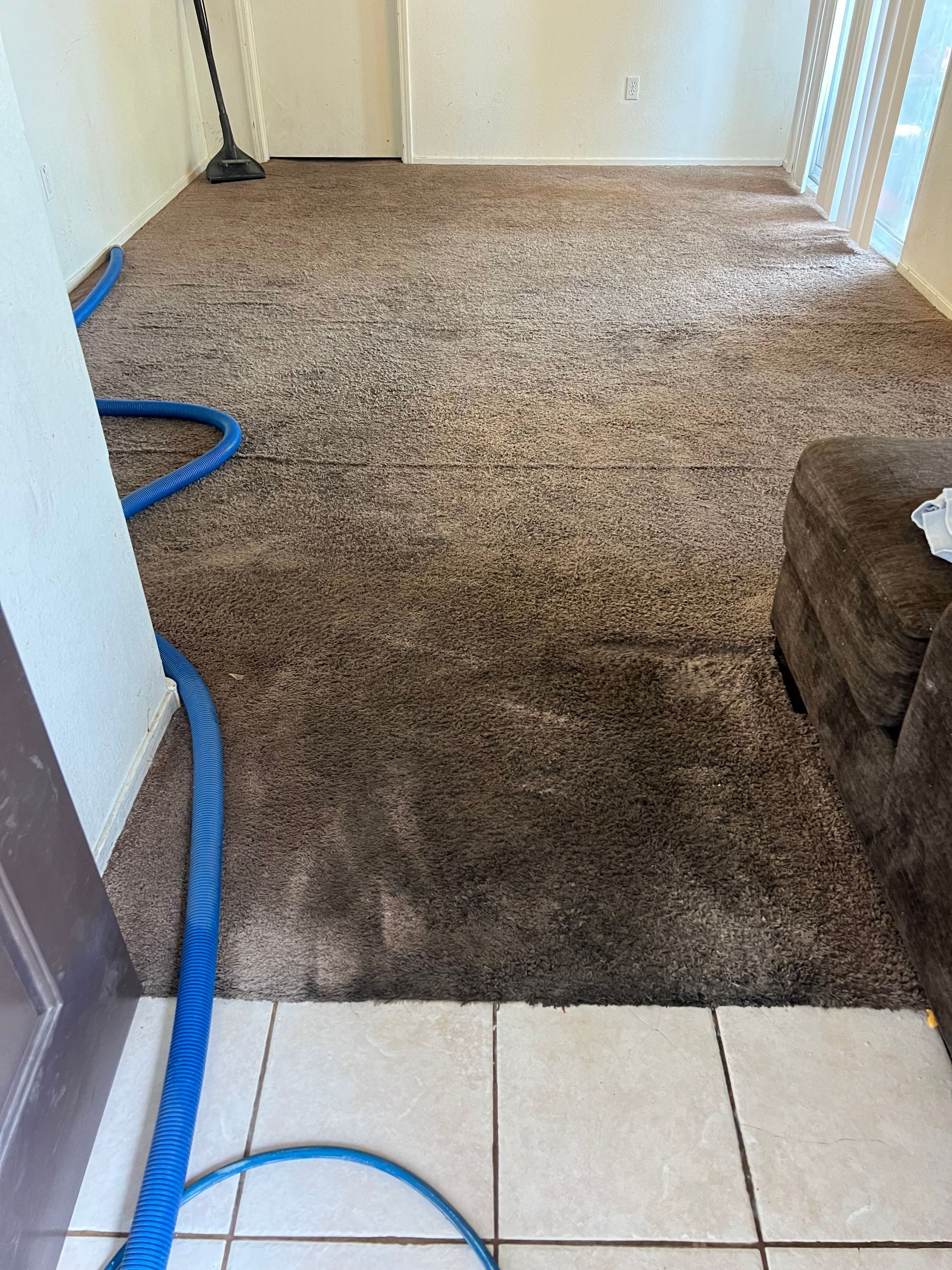 Brown carpet being cleaned with a blue hose; light-colored walls and a door frame are visible.