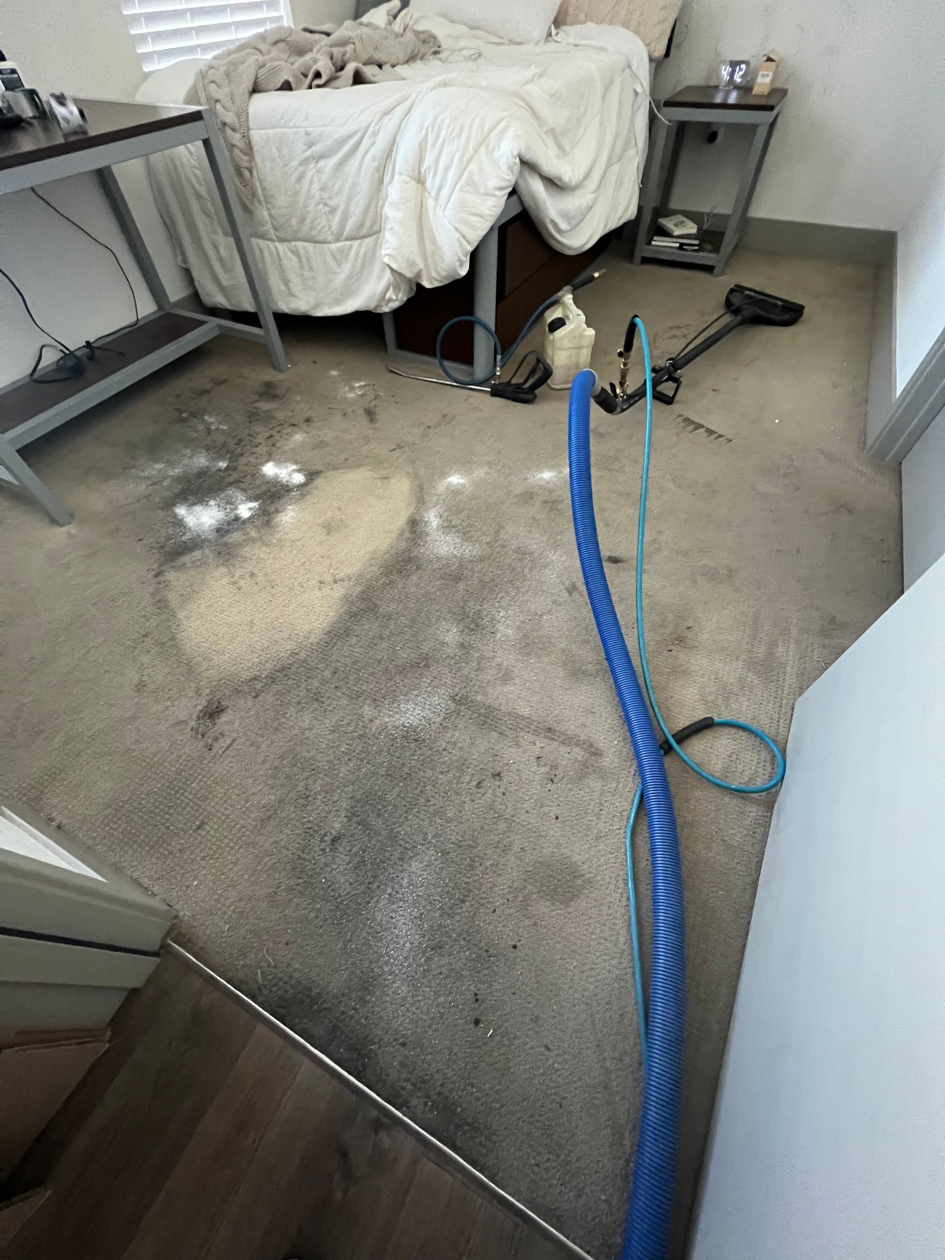 A room with stained carpet, a bed, and cleaning equipment.