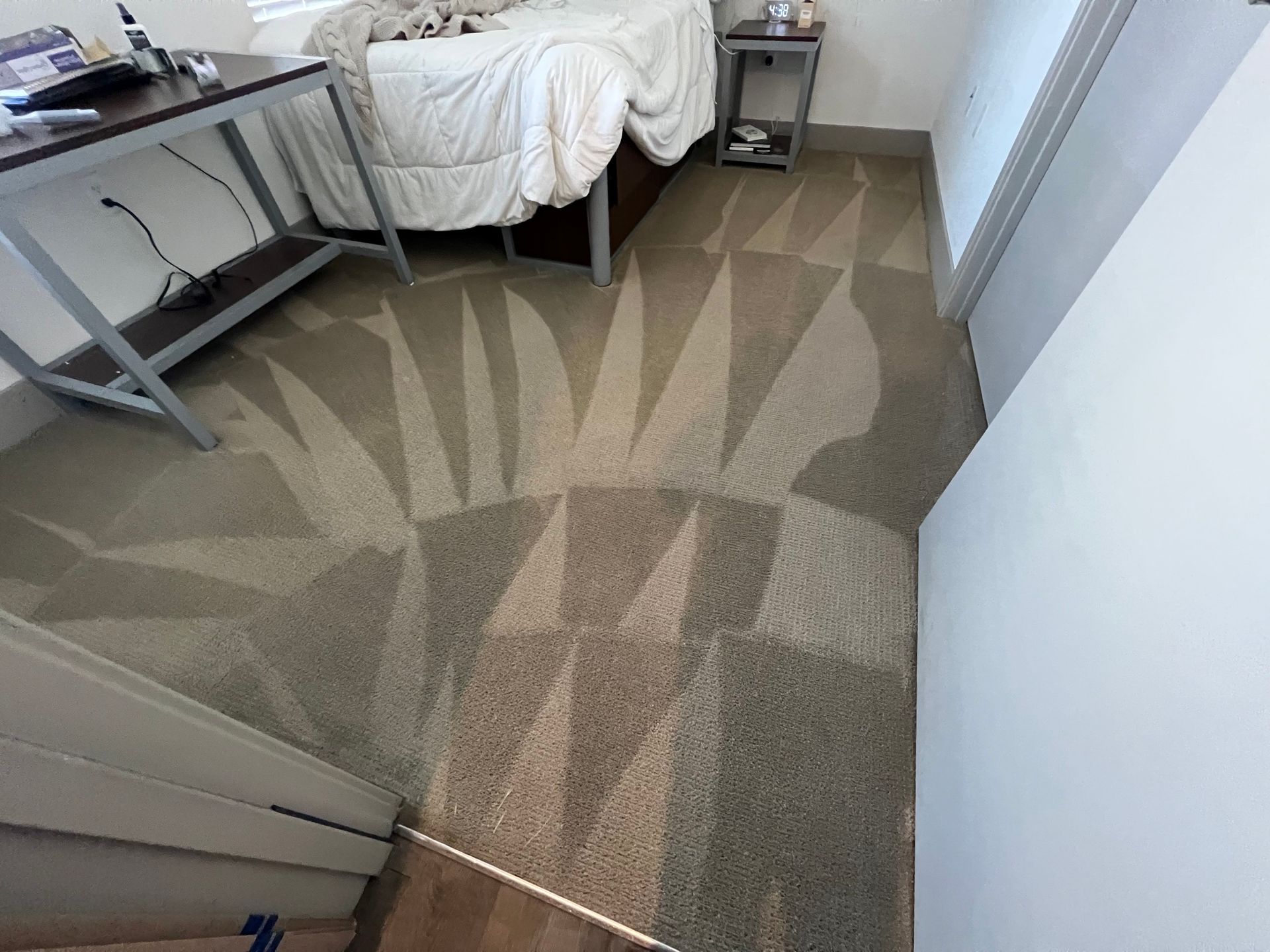 Carpeted room with a bed, desk, and intricate cleaning pattern.