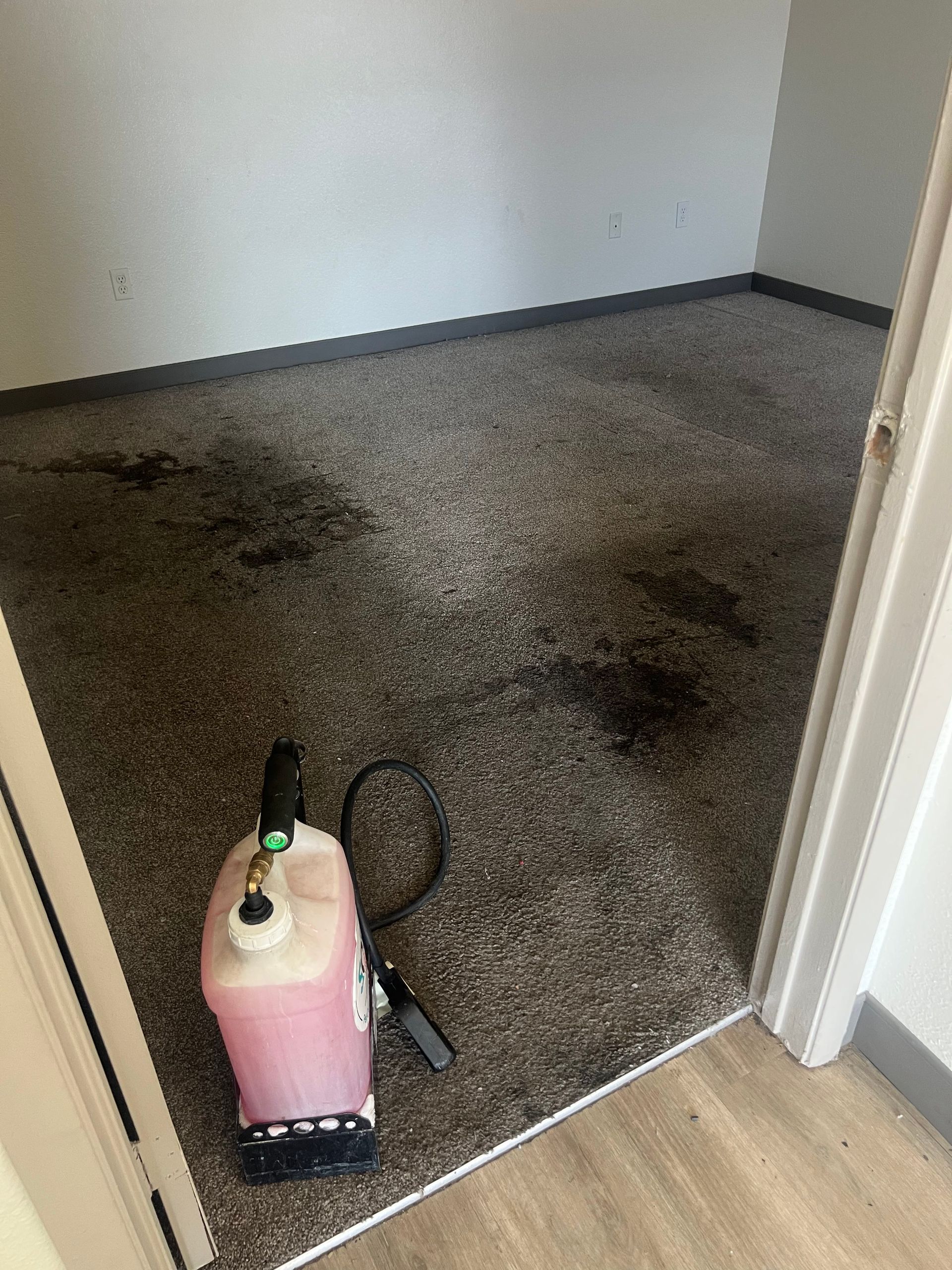 Room with stained carpet; a sprayer is in the doorway. Walls are white and a dark gray border frames the carpet.