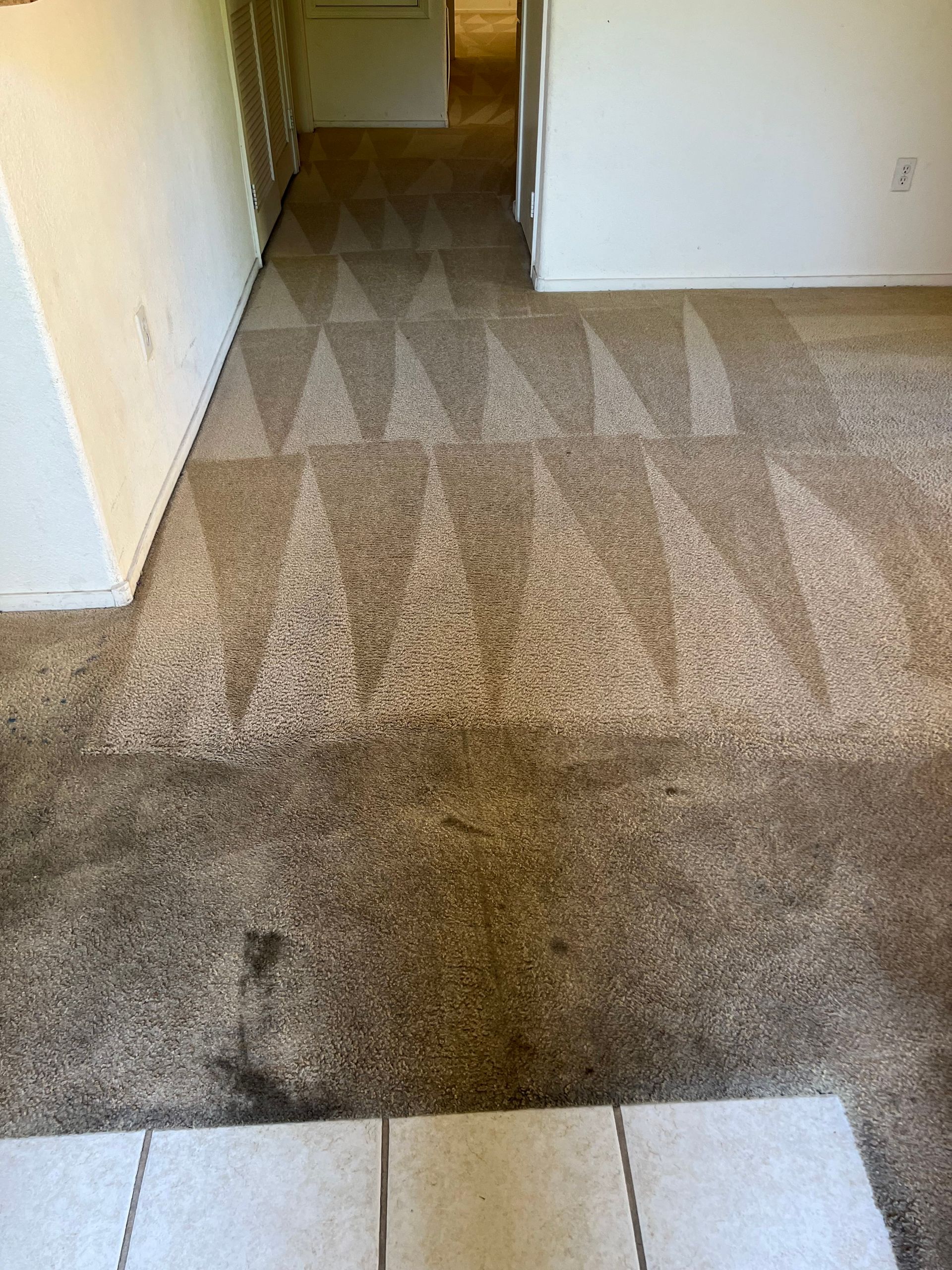 Dirty brown carpet cleaned with visible triangle patterns.