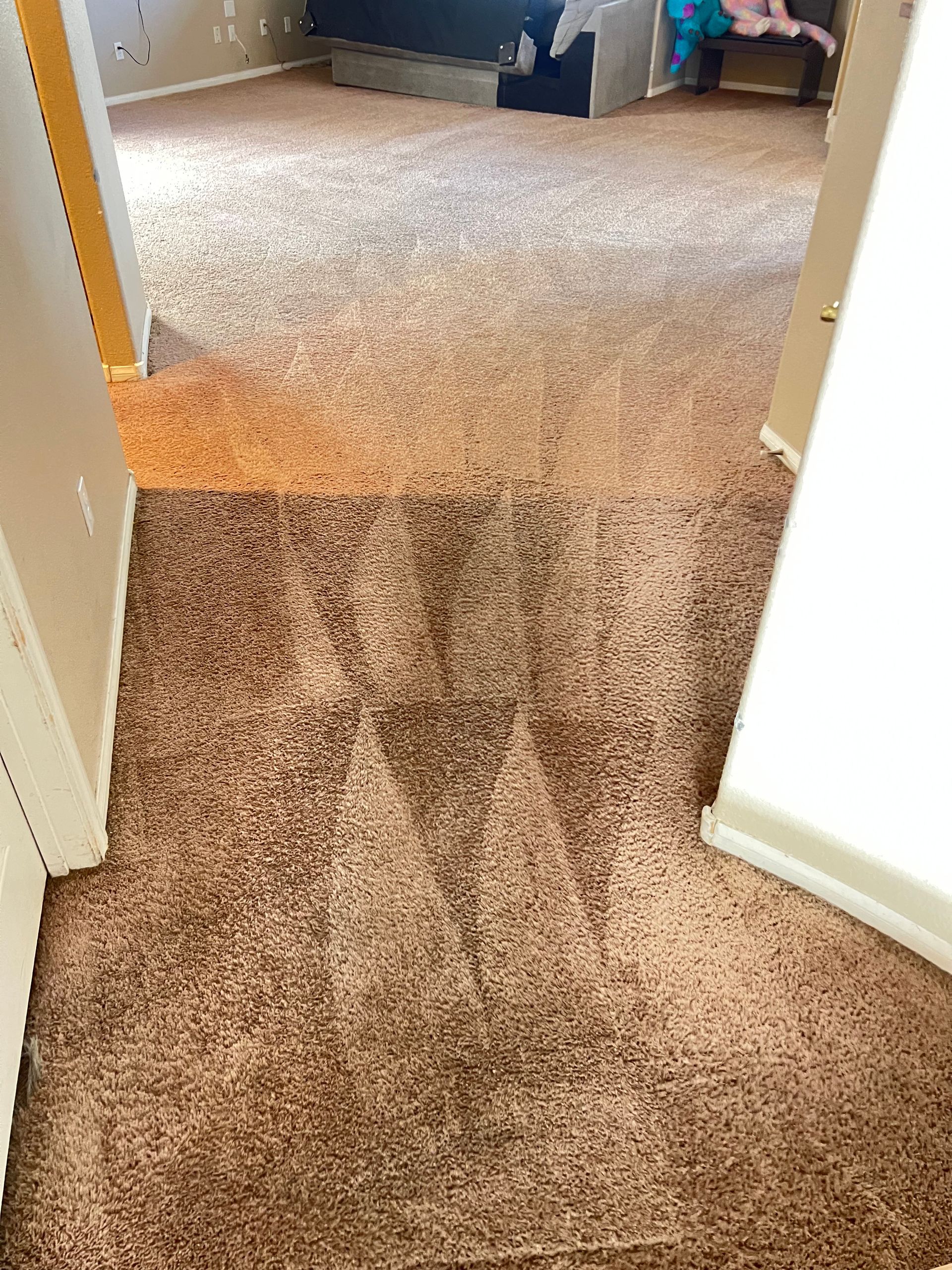 Brown carpet with visible cleaning streaks in a doorway.