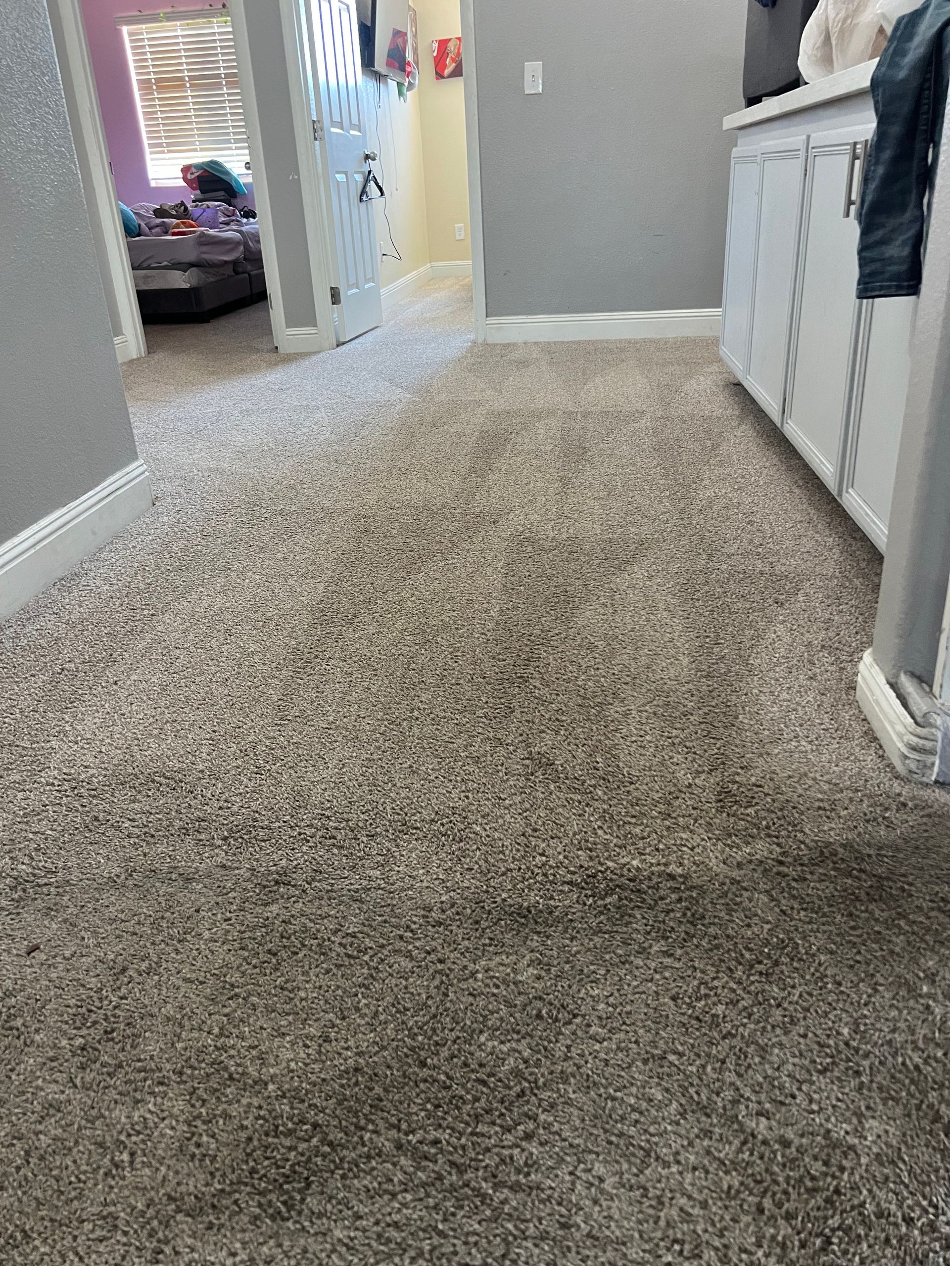 Hallway with light brown carpet, white cabinets, and gray walls.