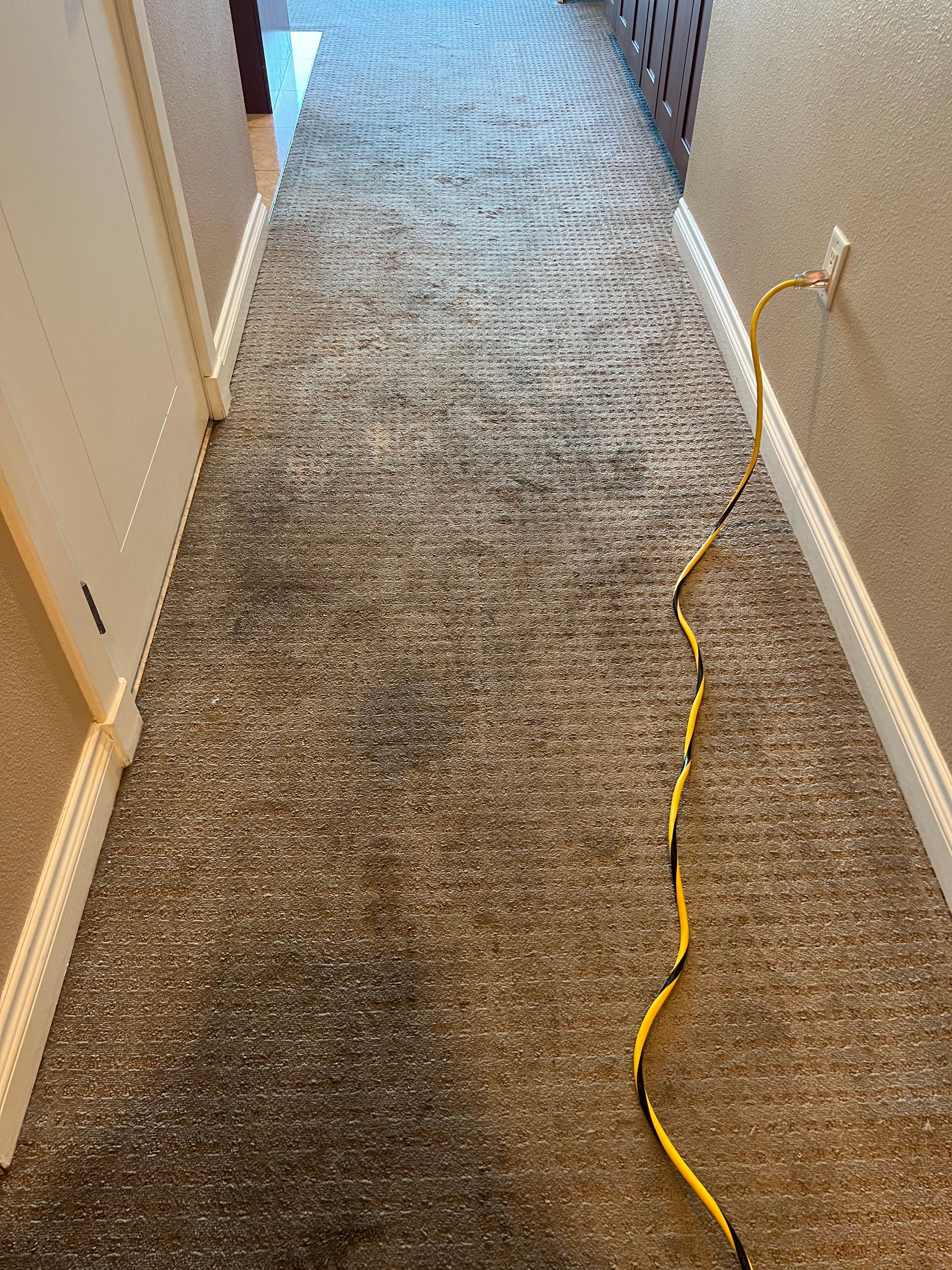 Narrow hallway with a long, textured gray carpet and a yellow cord running along it.
