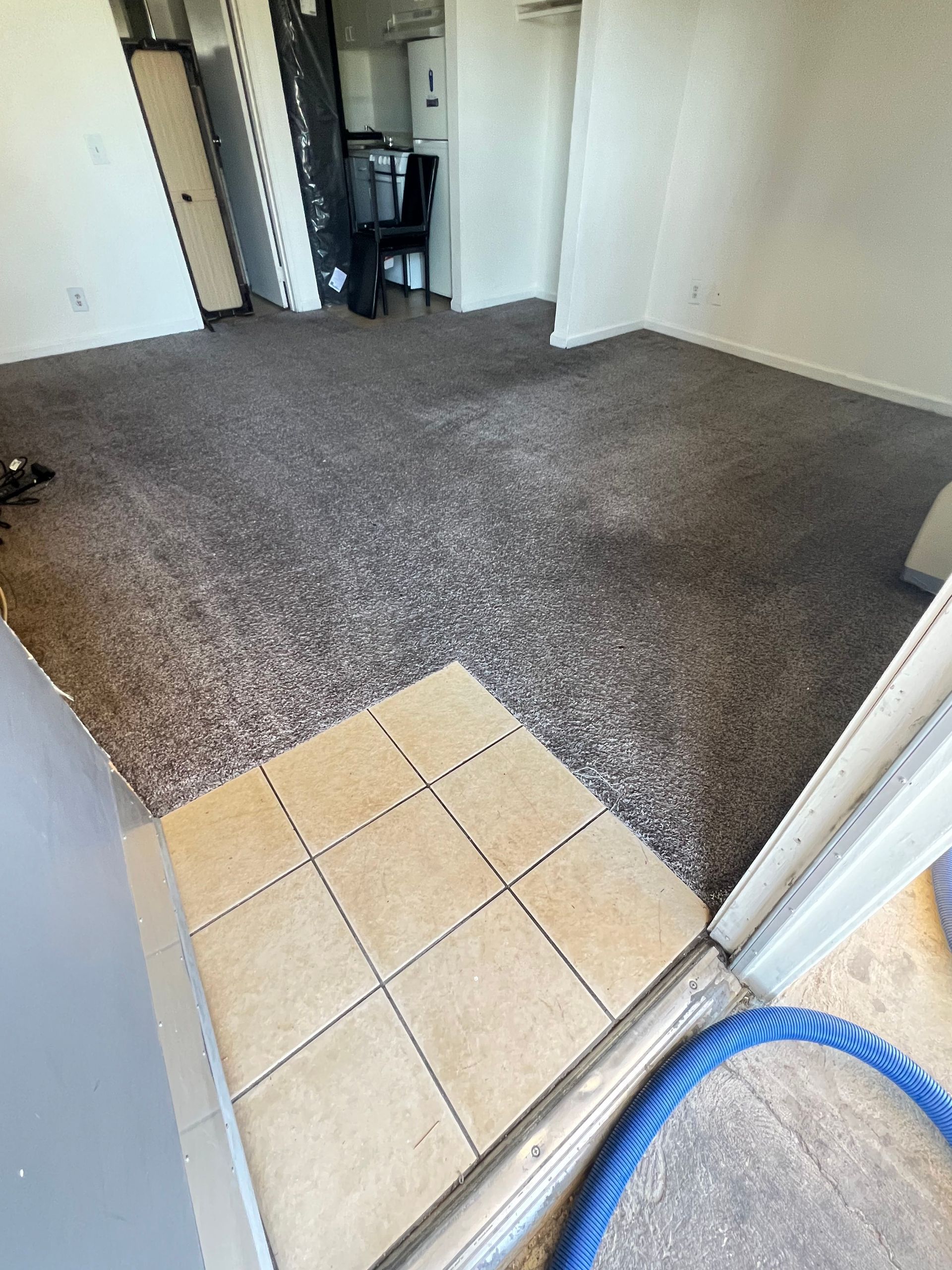 A dirty, dark-gray carpet meets beige tile at a doorway; a blue hose lies in the foreground.