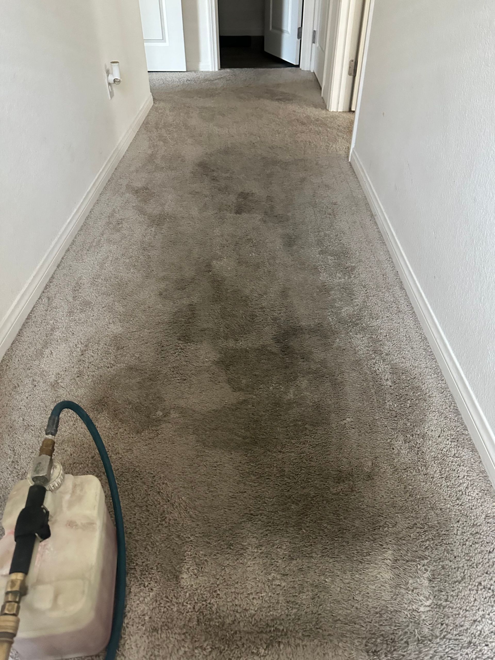 Hallway carpet being cleaned; gray carpet with dark stains, cleaning equipment visible.