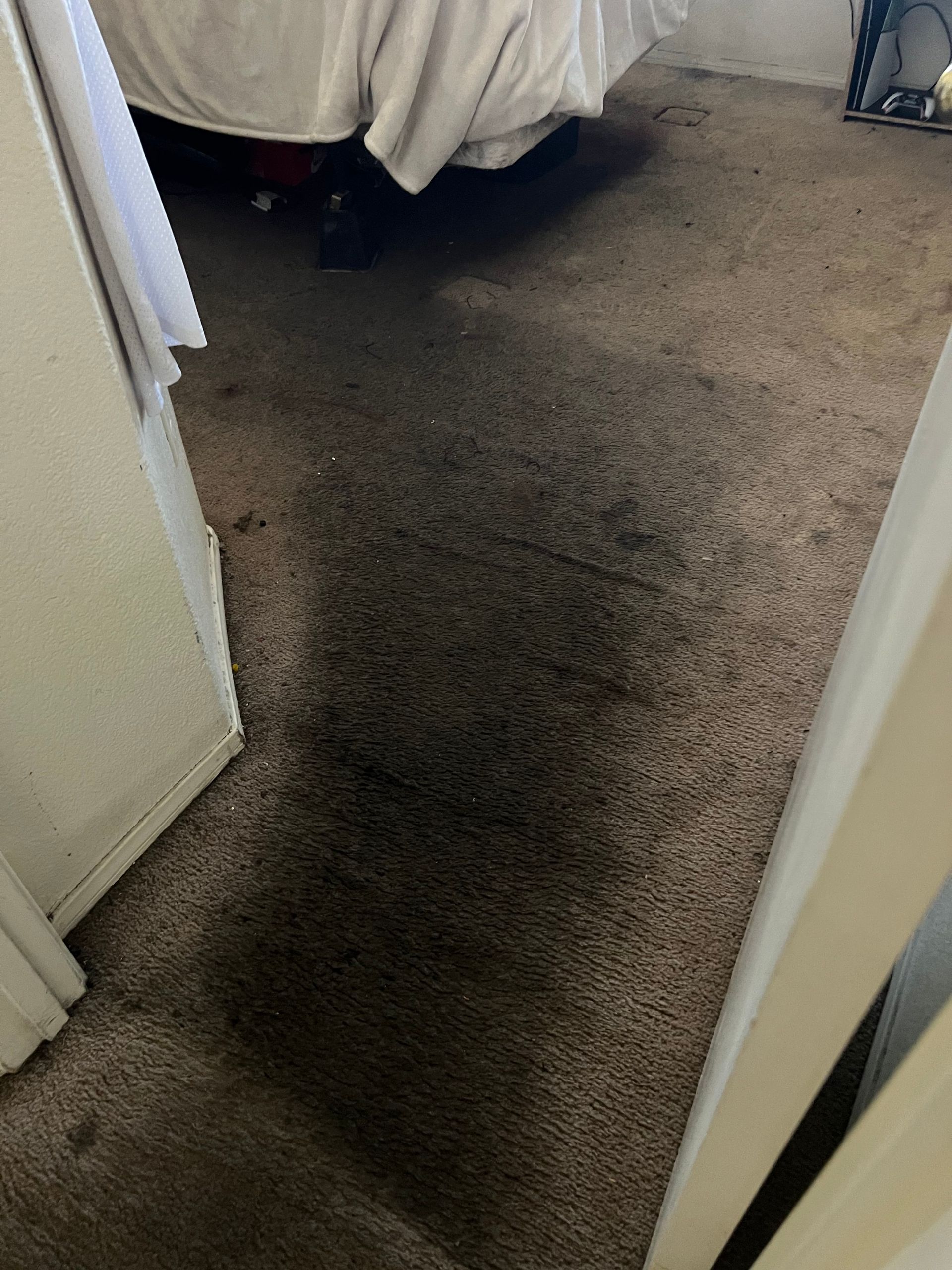 Dark, stained carpet in a room, with a bed visible in the background. White door frame on the sides.